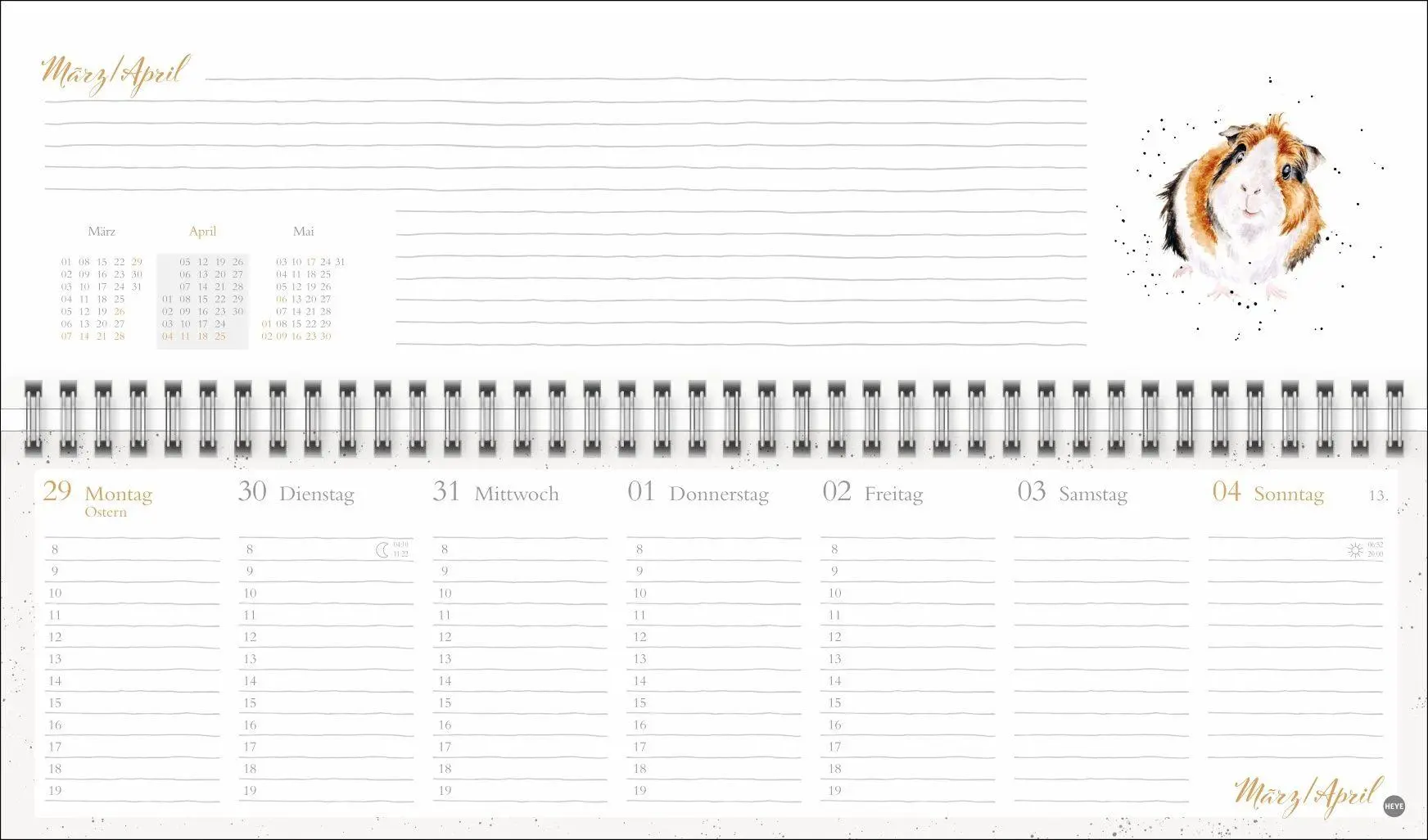 Bild: 9783756416561 | Hannah Dale : Wochenquerplaner 2027 | Hannah Dale | Kalender | 112 S.