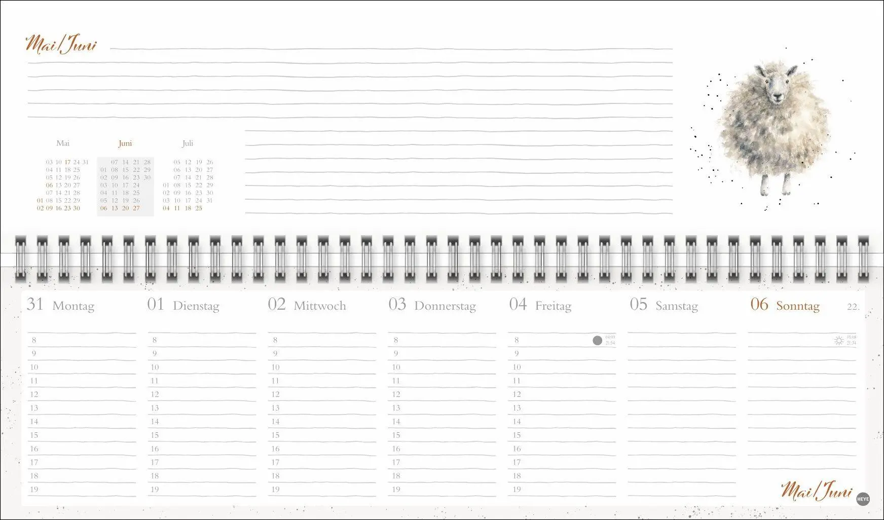 Bild: 9783756416561 | Hannah Dale : Wochenquerplaner 2027 | Hannah Dale | Kalender | 112 S.