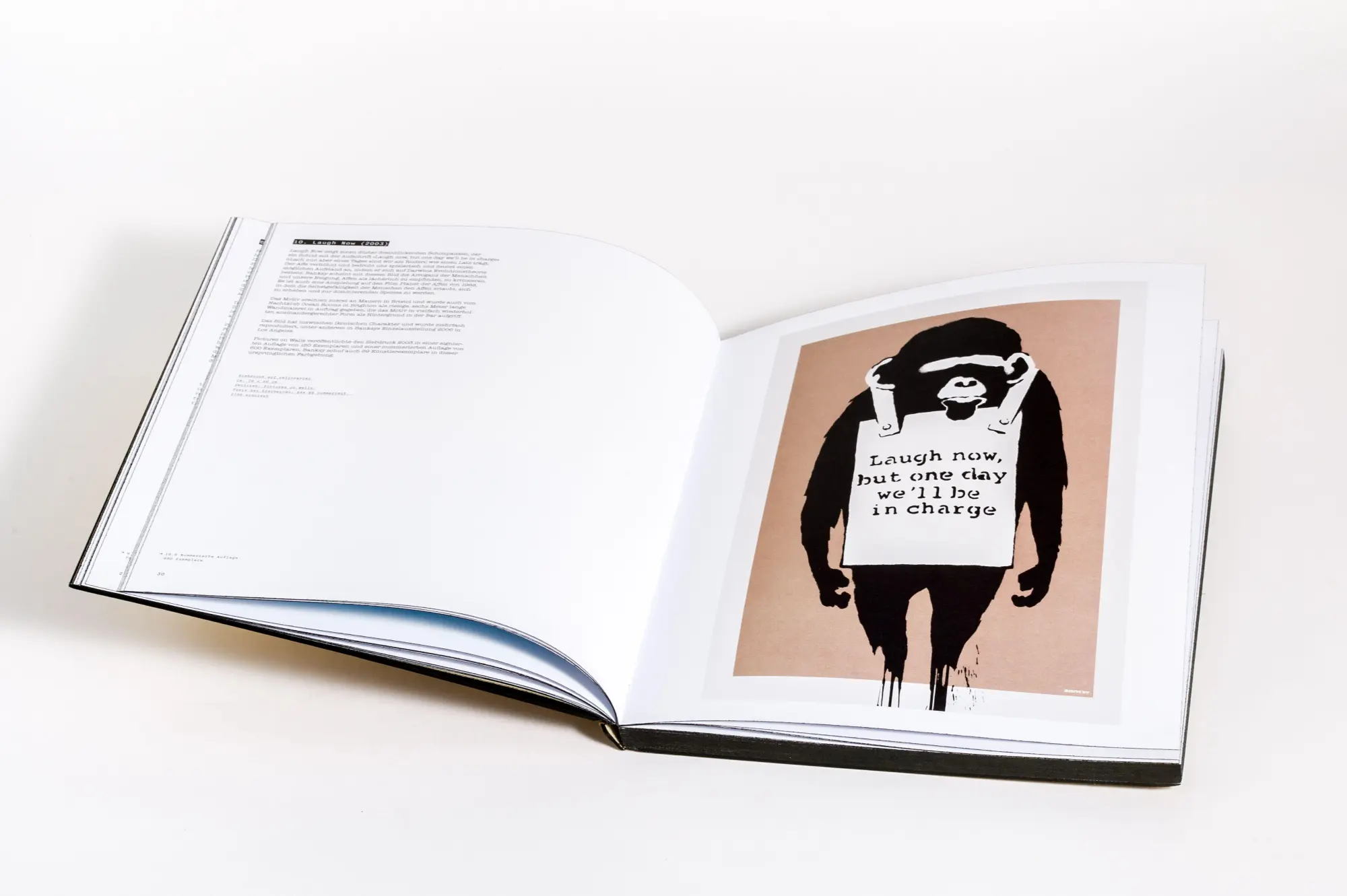 Bild: 9783791376561 | Banksy: Prints | Alle Druckgrafiken | Roberto Campolucci-Bordi | Buch