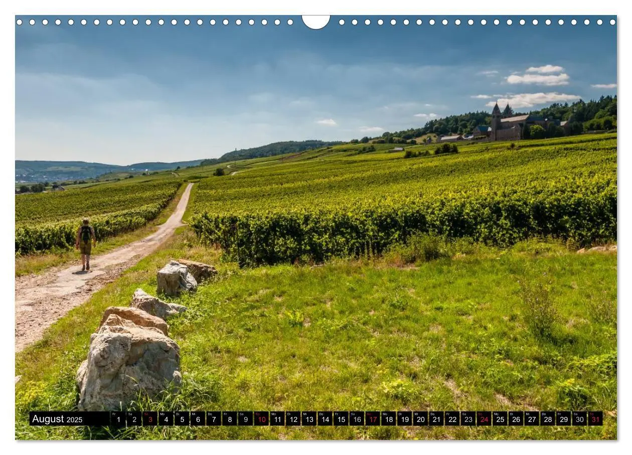 Bild: 9783435716661 | Rheinsteig Impressionen III (Wandkalender 2025 DIN A3 quer),...