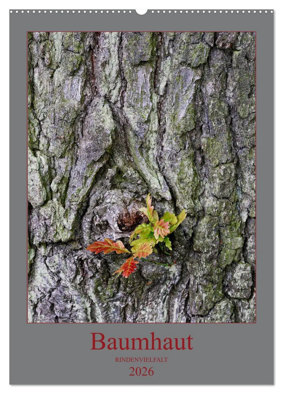 Cover: 9783516376661 | Baumhaut (Wandkalender 2026 DIN A2 hoch), CALVENDO Monatskalender