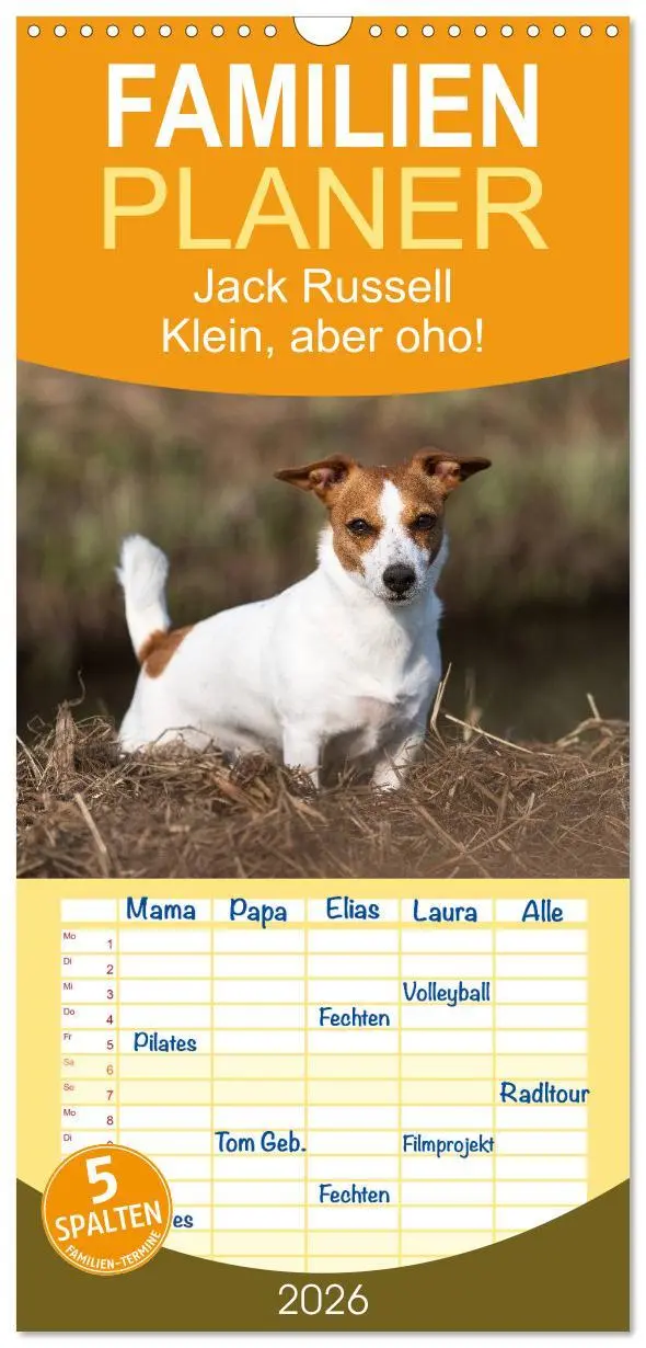 Cover: 9783516516661 | Familienplaner 2026 - Jack Russell - Klein, aber oho! mit 5 Spalten...