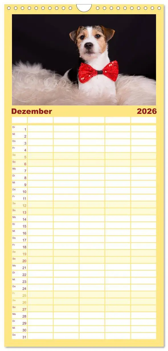 Bild: 9783516516661 | Familienplaner 2026 - Jack Russell - Klein, aber oho! mit 5 Spalten...