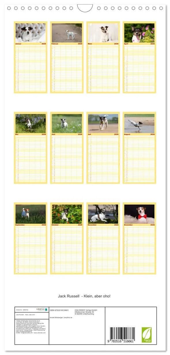 Bild: 9783516516661 | Familienplaner 2026 - Jack Russell - Klein, aber oho! mit 5 Spalten...