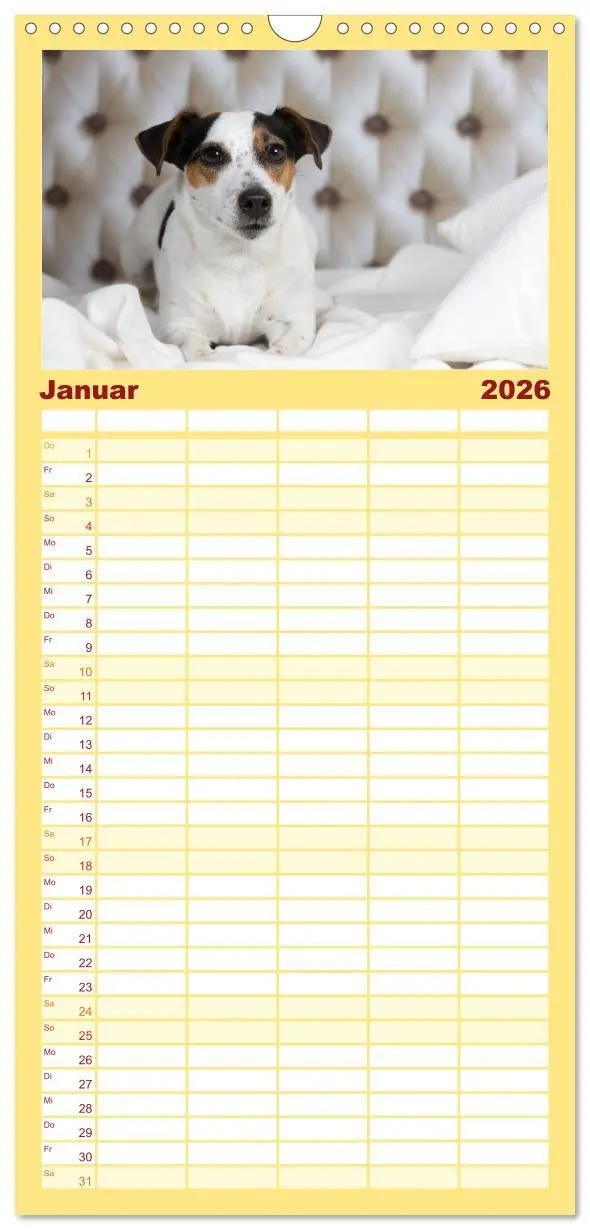 Bild: 9783516516661 | Familienplaner 2026 - Jack Russell - Klein, aber oho! mit 5 Spalten...