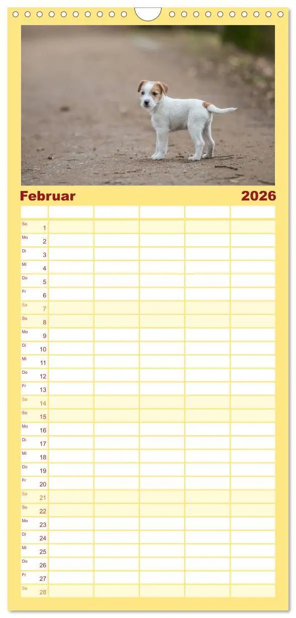 Bild: 9783516516661 | Familienplaner 2026 - Jack Russell - Klein, aber oho! mit 5 Spalten...