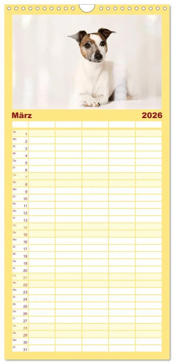 Bild: 9783516516661 | Familienplaner 2026 - Jack Russell - Klein, aber oho! mit 5 Spalten...