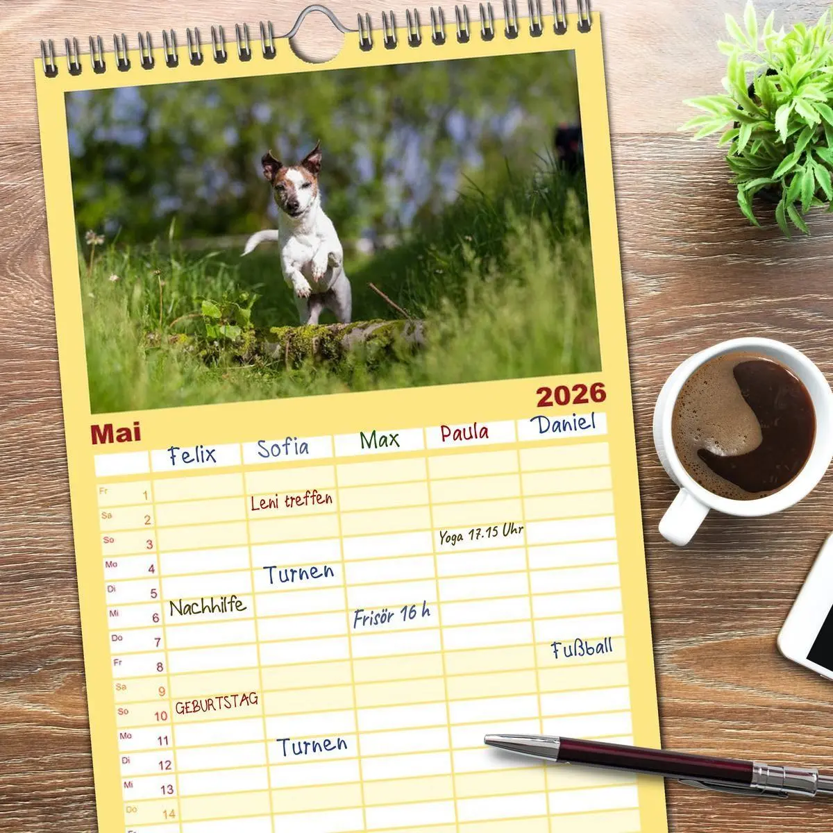 Bild: 9783516516661 | Familienplaner 2026 - Jack Russell - Klein, aber oho! mit 5 Spalten...