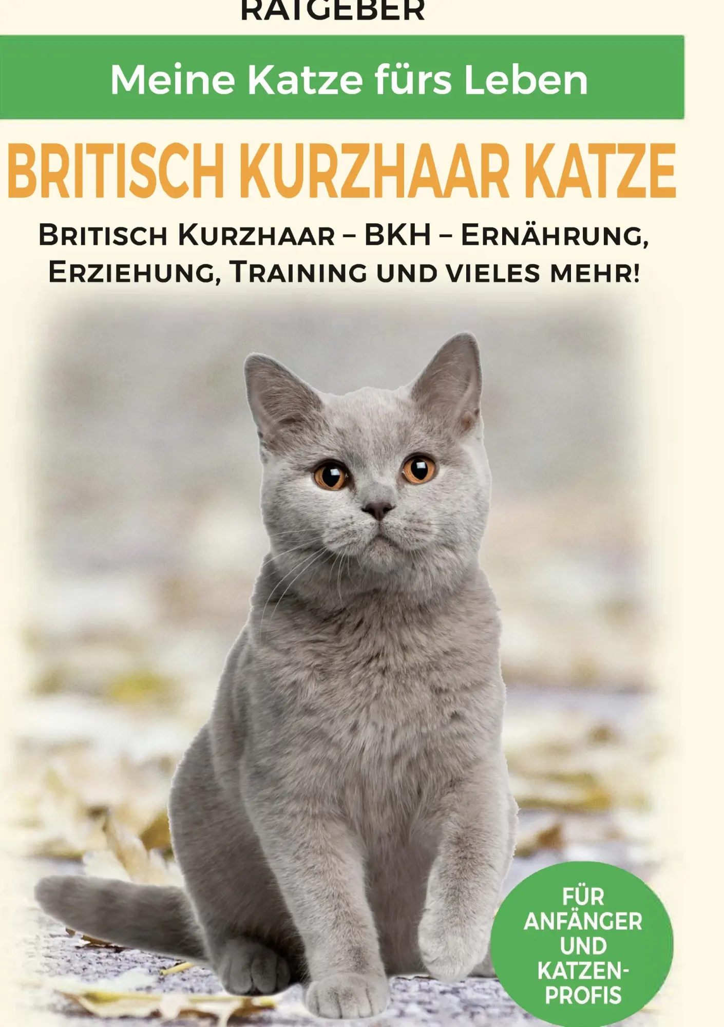 Cover: 9783752686661 | Britisch Kurzhaar Katze | Meine Katze fürs Leben Ratgeber | Buch