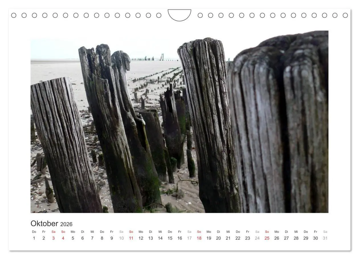 Bild: 9783457956861 | Wangerooge. Der Charme des Ostanlegers (Wandkalender 2026 DIN A4...