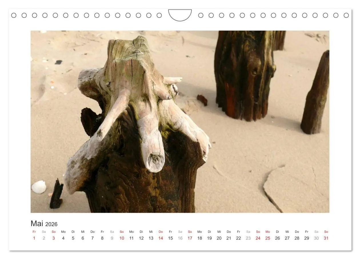 Bild: 9783457956861 | Wangerooge. Der Charme des Ostanlegers (Wandkalender 2026 DIN A4...