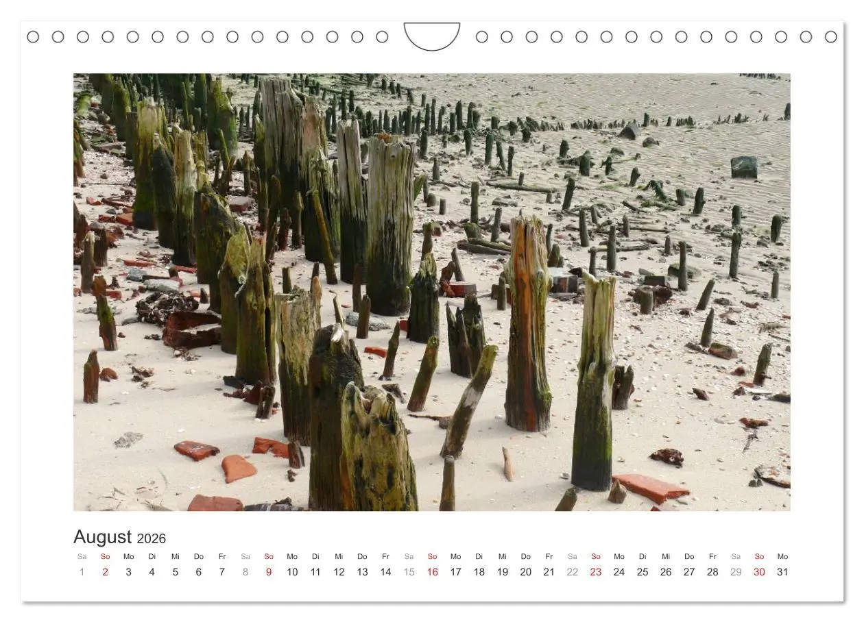 Bild: 9783457956861 | Wangerooge. Der Charme des Ostanlegers (Wandkalender 2026 DIN A4...