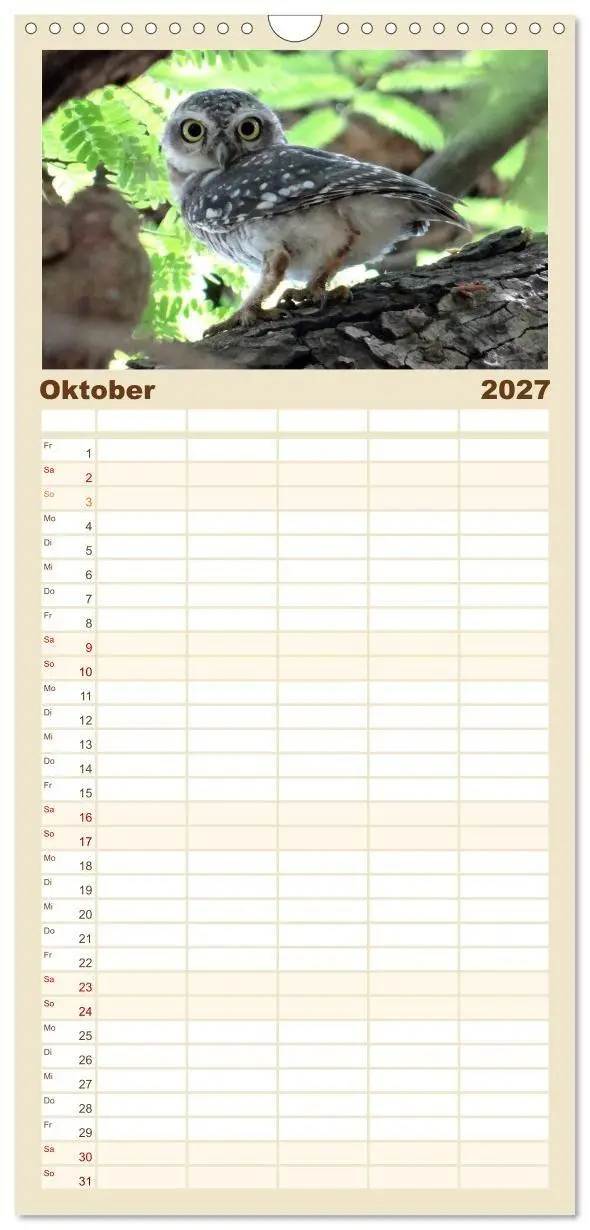 Bild: 9783594336861 | Familienplaner 2027 - Eulen. Gefiederte Weisheit mit 5 Spalten...