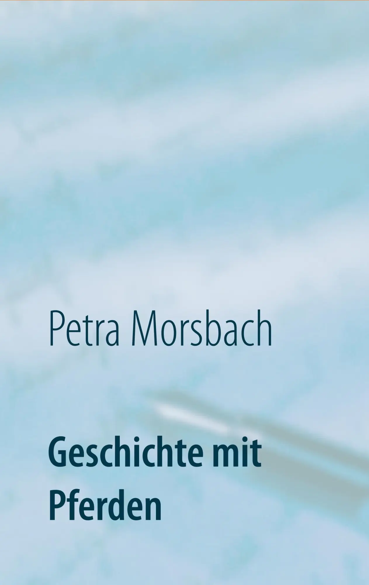 Cover: 9783752806861 | Geschichte mit Pferden | Roman | Petra Morsbach | Taschenbuch | 324 S.