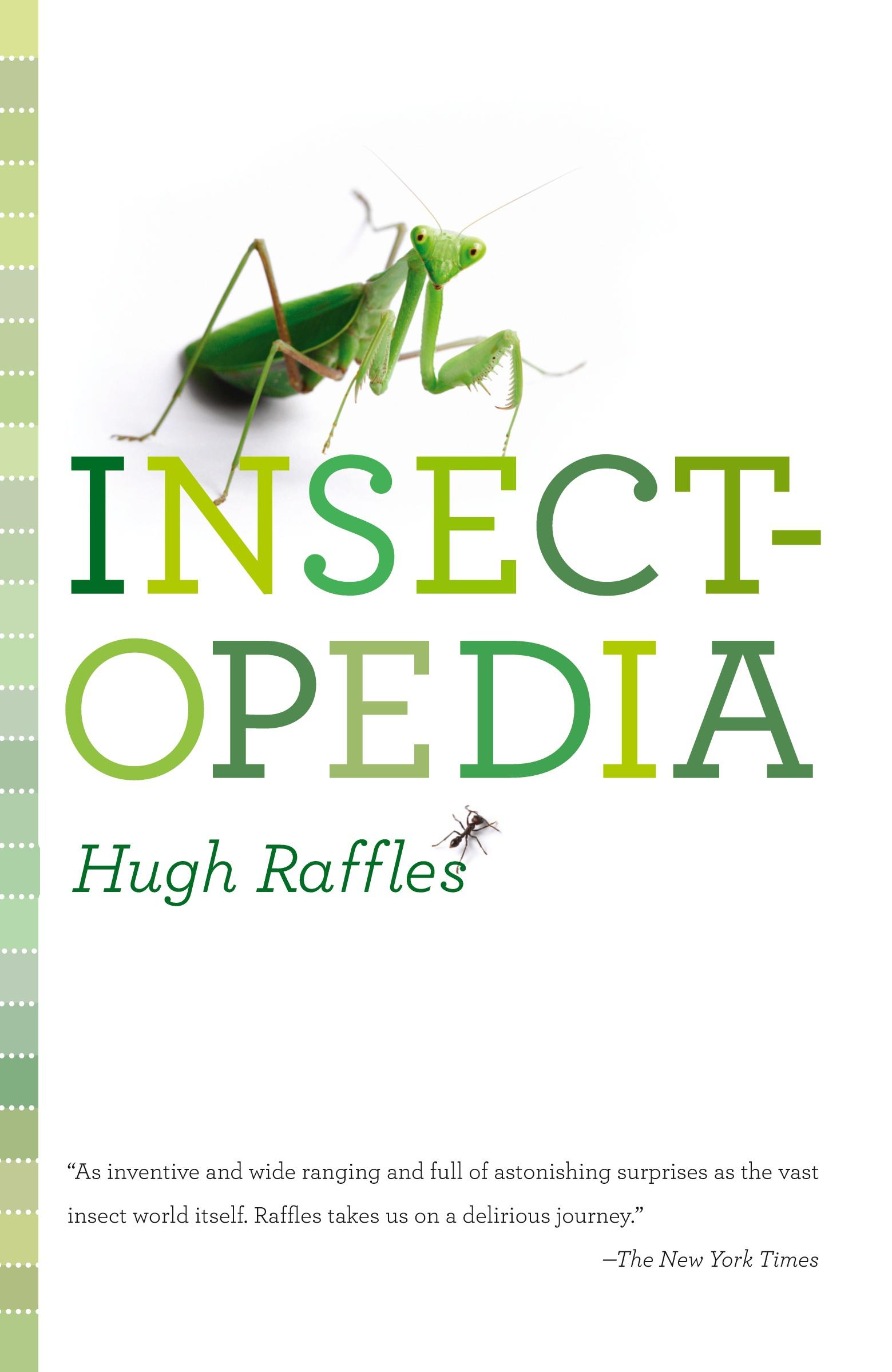Cover: 9781400096961 | Insectopedia | Hugh Raffles | Taschenbuch | Englisch | 2011