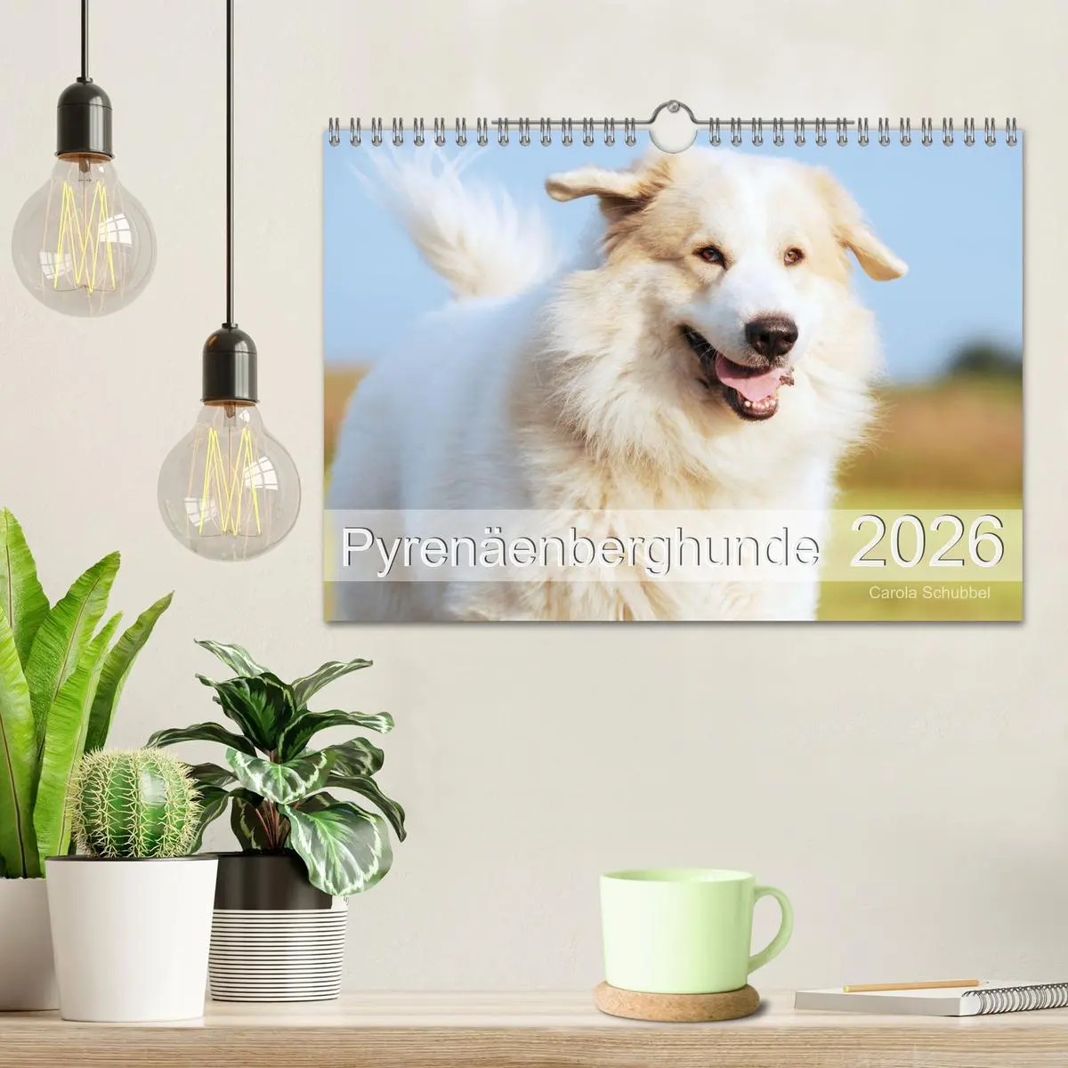 Bild: 9783457636961 | Pyrenäenberghunde (Wandkalender 2026 DIN A4 quer), CALVENDO...