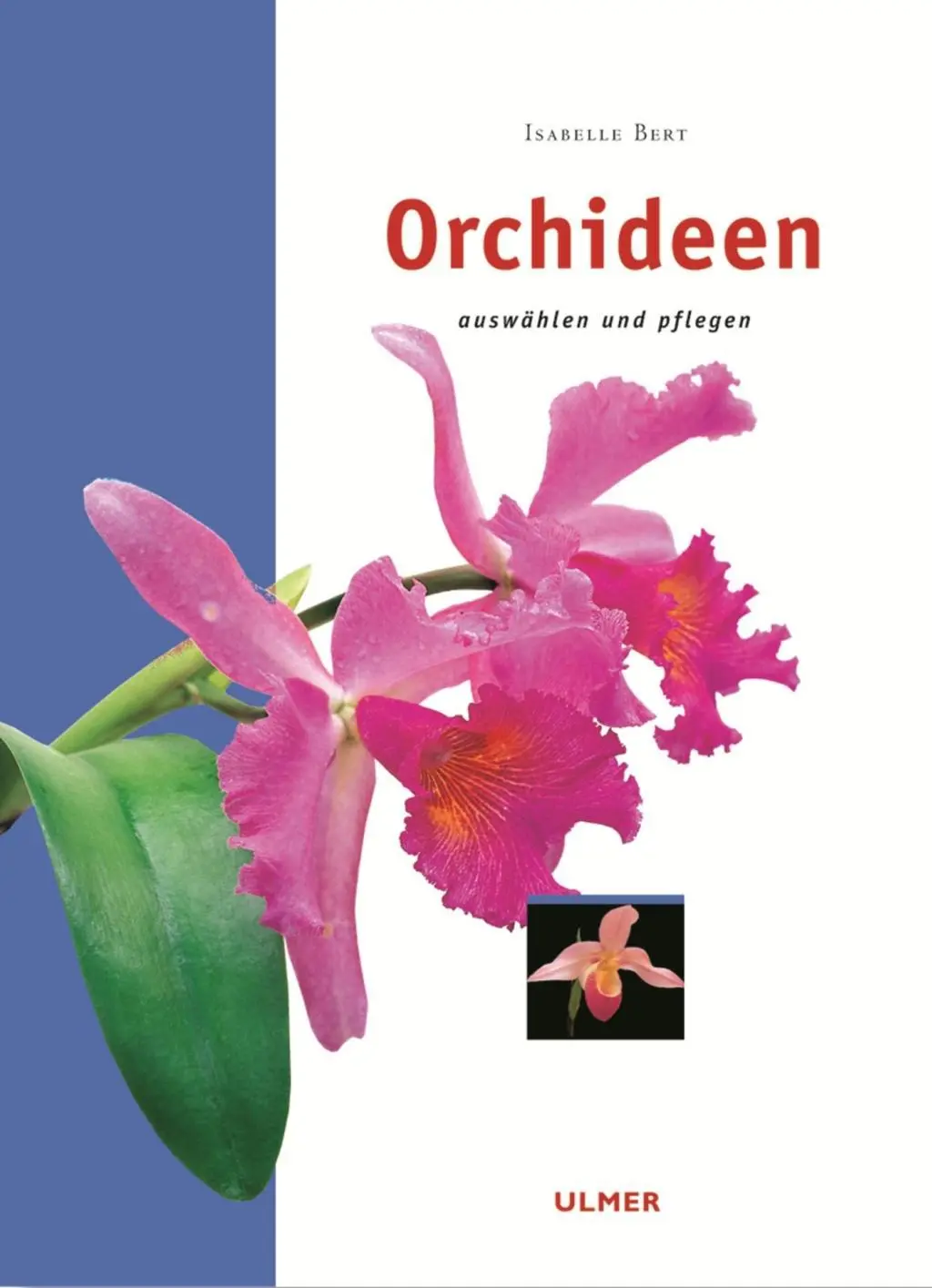 Cover: 9783800166961 | Orchideen | auswählen und pflegen | Isabelle Bert | Taschenbuch | 2003