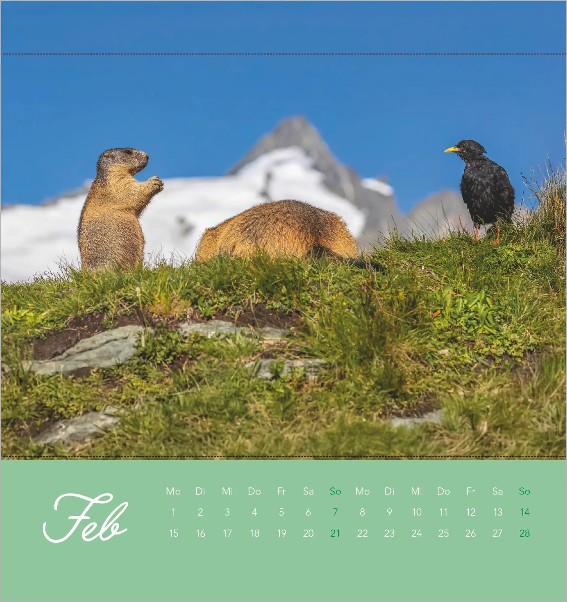 Bild: 4069095017061 | Beste Freunde 2027 | Neumann Verlage GmbH &amp; Co KG | Kalender | 14 S.