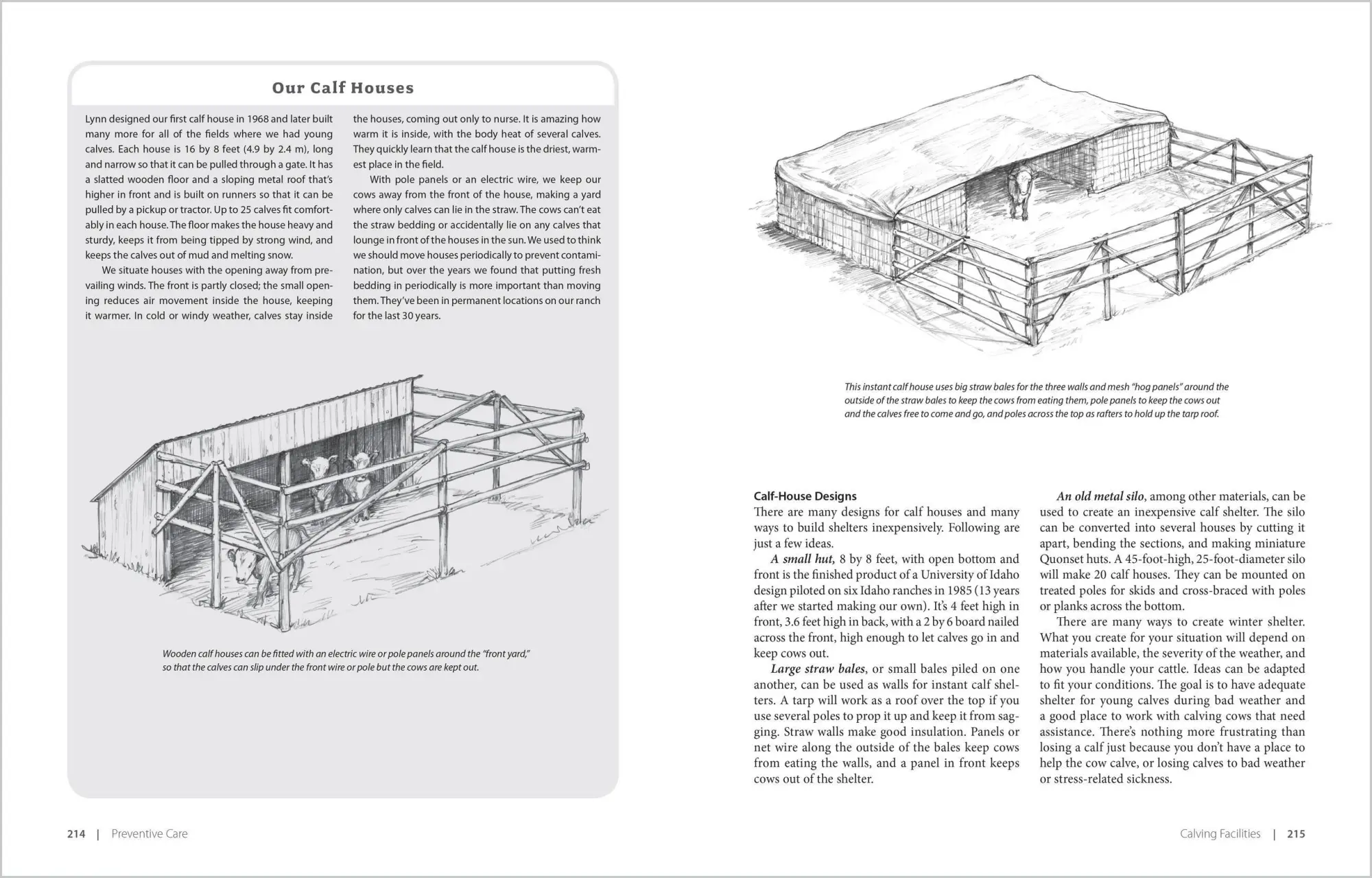 Bild: 9781580177061 | Essential Guide to Calving | Heather Smith Thomas | Taschenbuch | 2007