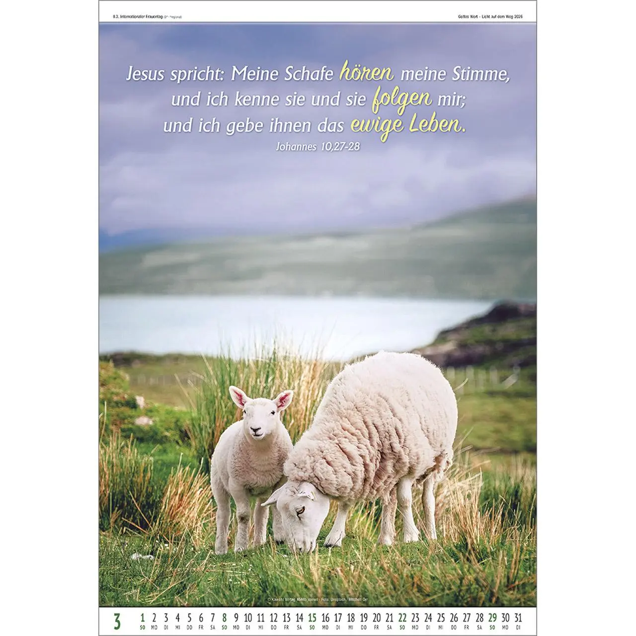 Bild: 9783754837061 | Gottes Wort - Licht auf dem Weg 2026 | Wandkalender | Kalender | 14 S.