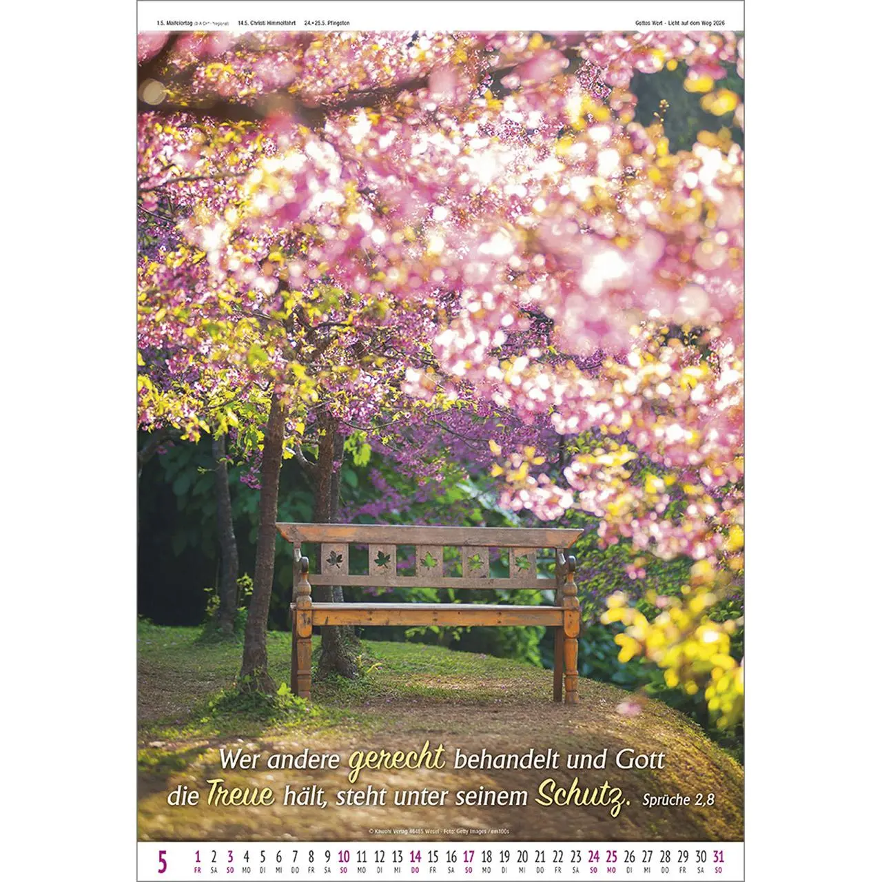 Bild: 9783754837061 | Gottes Wort - Licht auf dem Weg 2026 | Wandkalender | Kalender | 14 S.