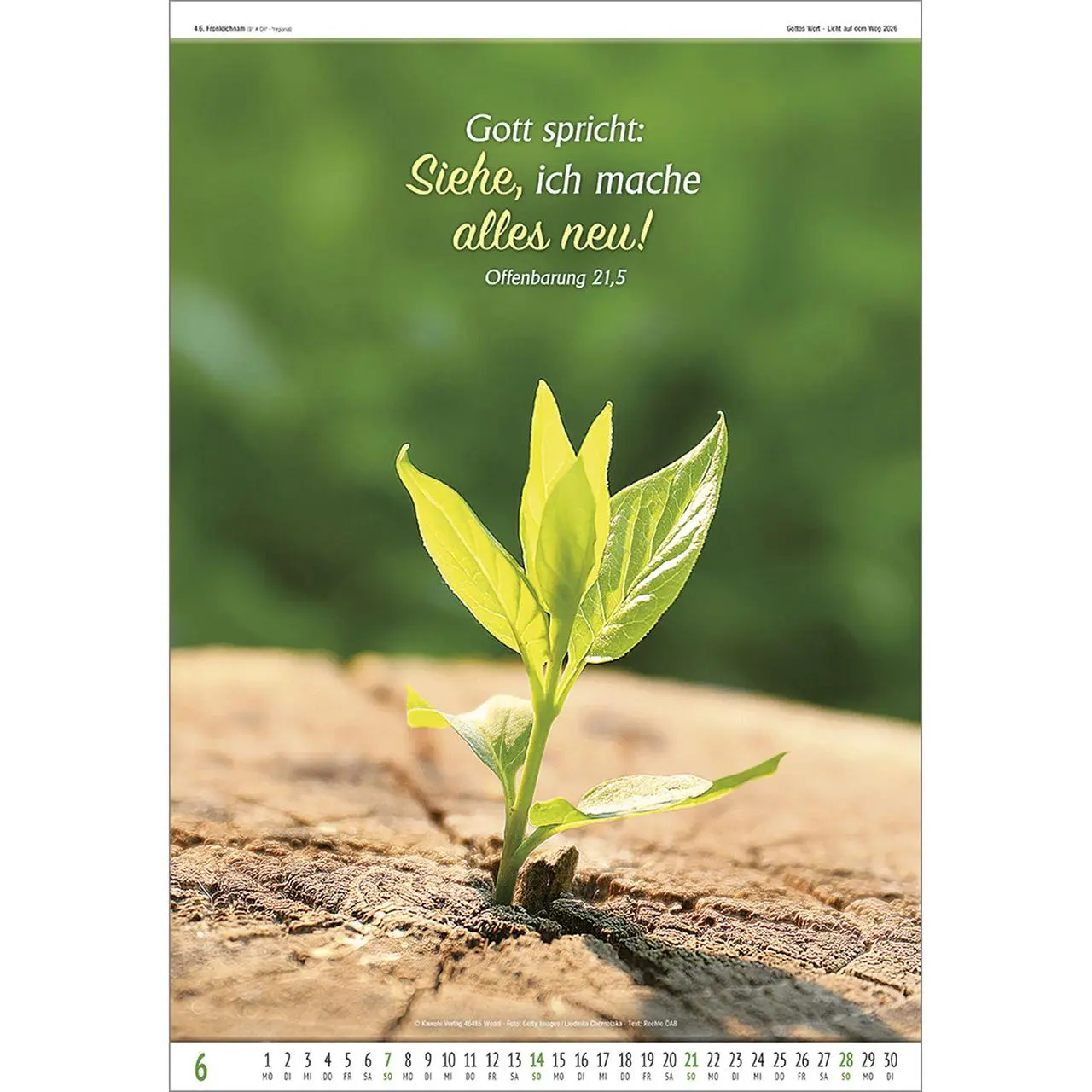 Bild: 9783754837061 | Gottes Wort - Licht auf dem Weg 2026 | Wandkalender | Kalender | 14 S.