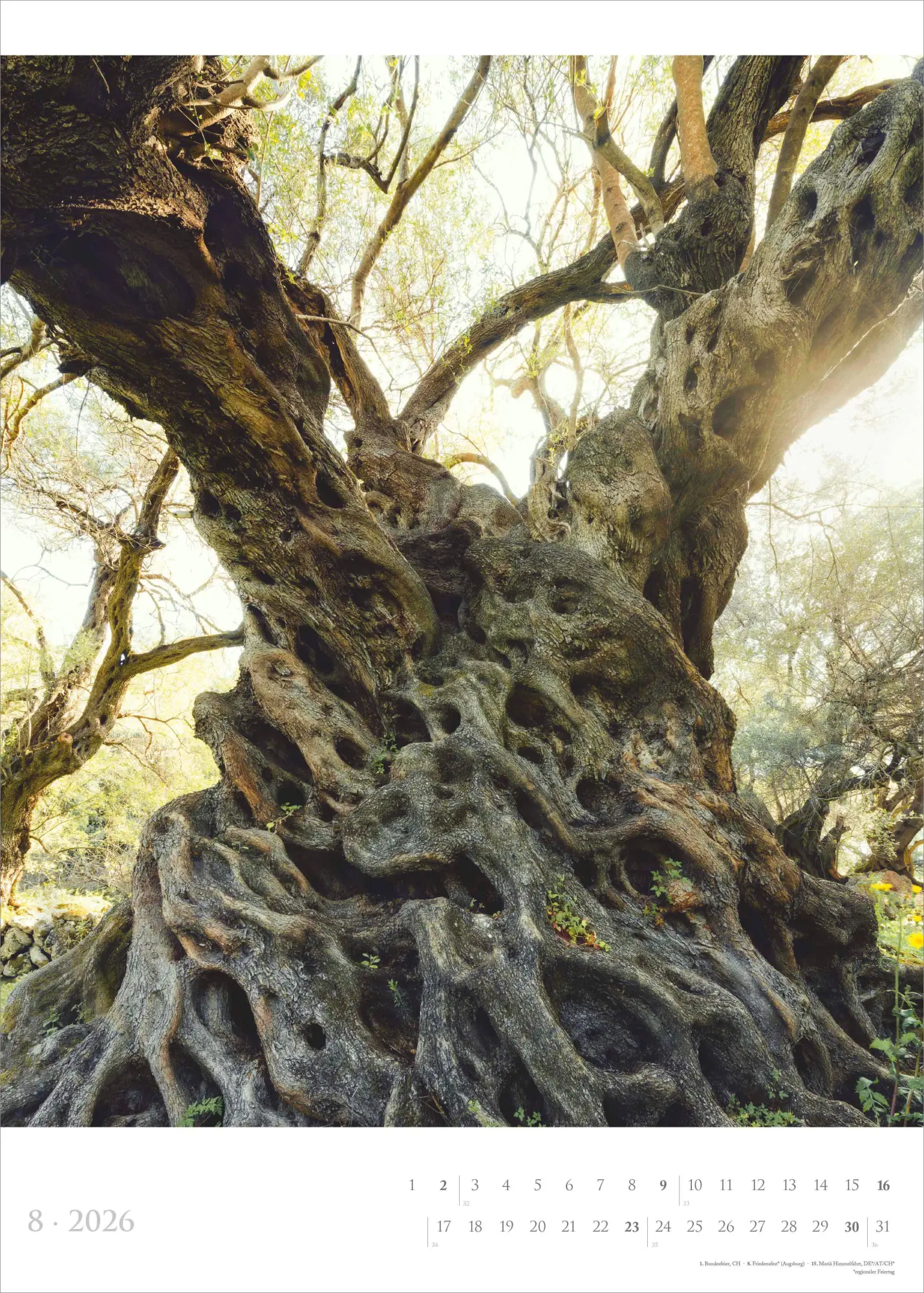 Bild: 4069095007161 | Spirit of Nature 2026 - Bildkalender XXL 50x70 cm - hochwertiger...