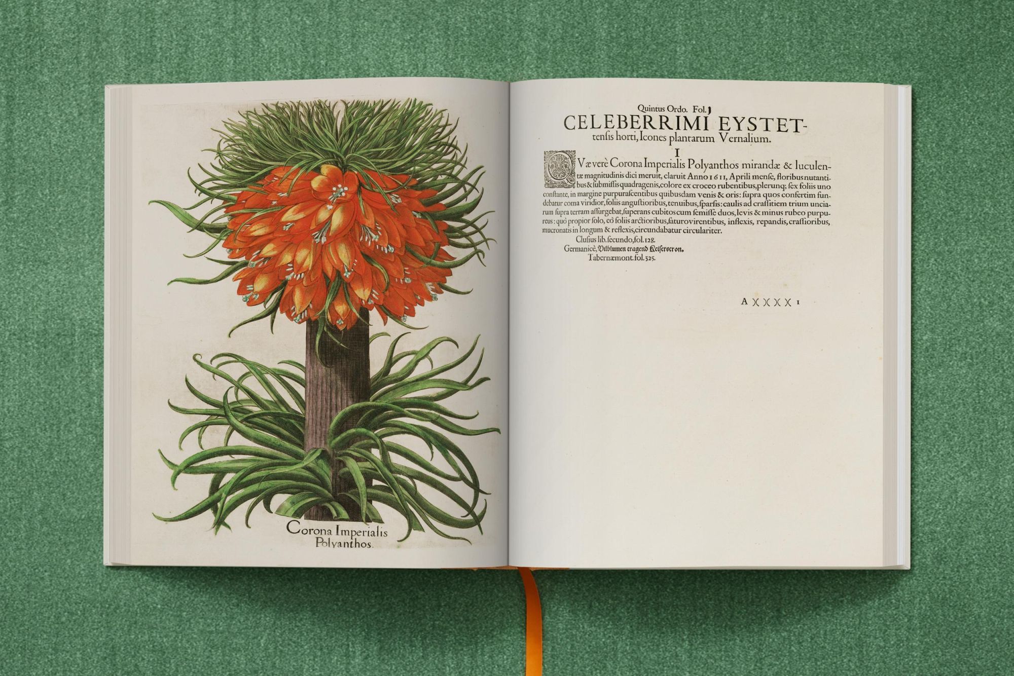 Bild: 9783836547161 | Besler. The Garden at Eichstätt | Klaus Walter Littger (u. a.) | Buch