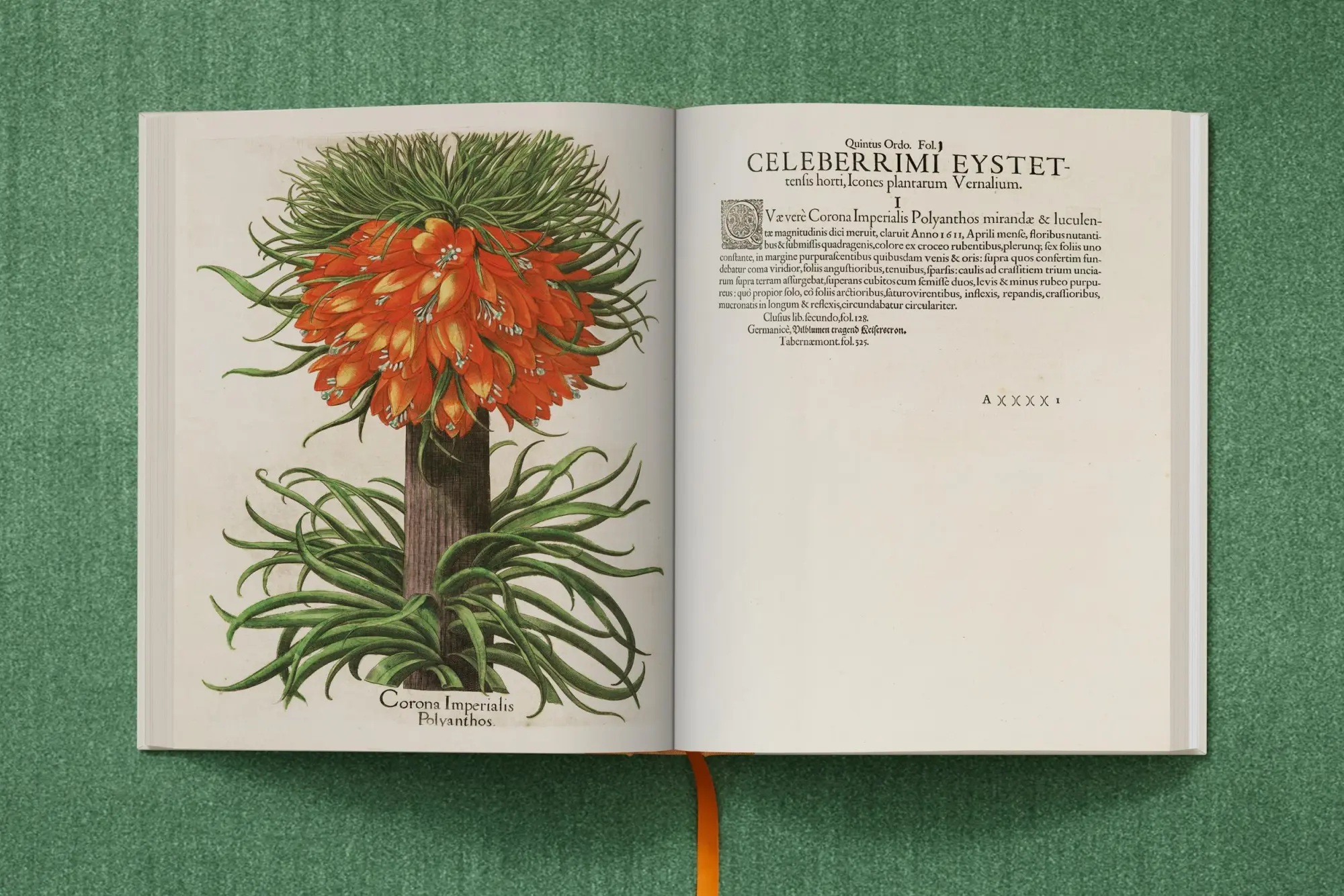 Bild: 9783836547161 | Besler. The Garden at Eichstätt | Klaus Walter Littger (u. a.) | Buch