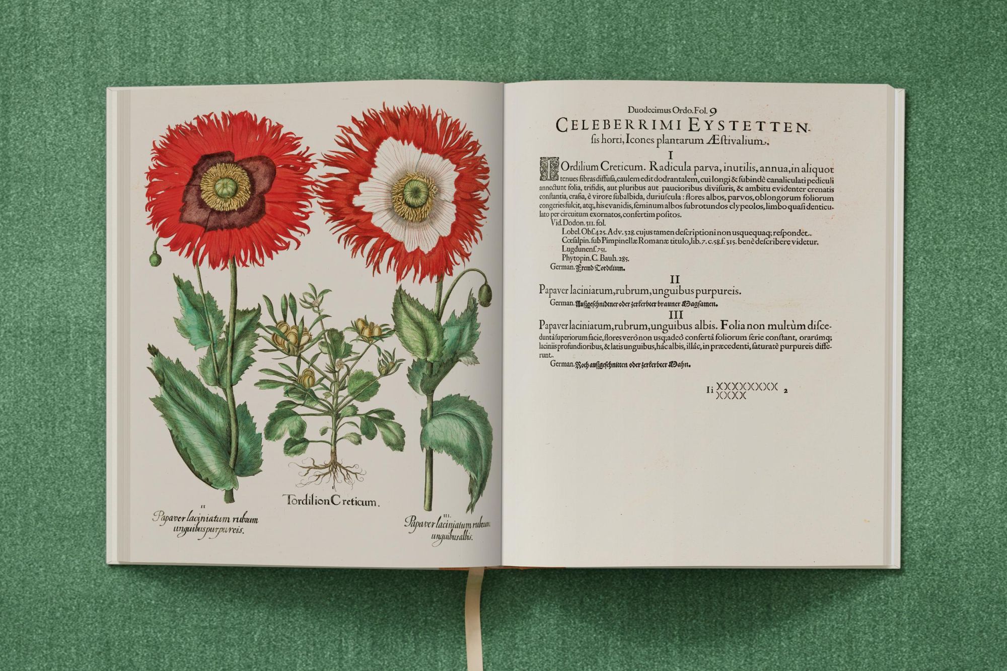 Bild: 9783836547161 | Besler. The Garden at Eichstätt | Klaus Walter Littger (u. a.) | Buch