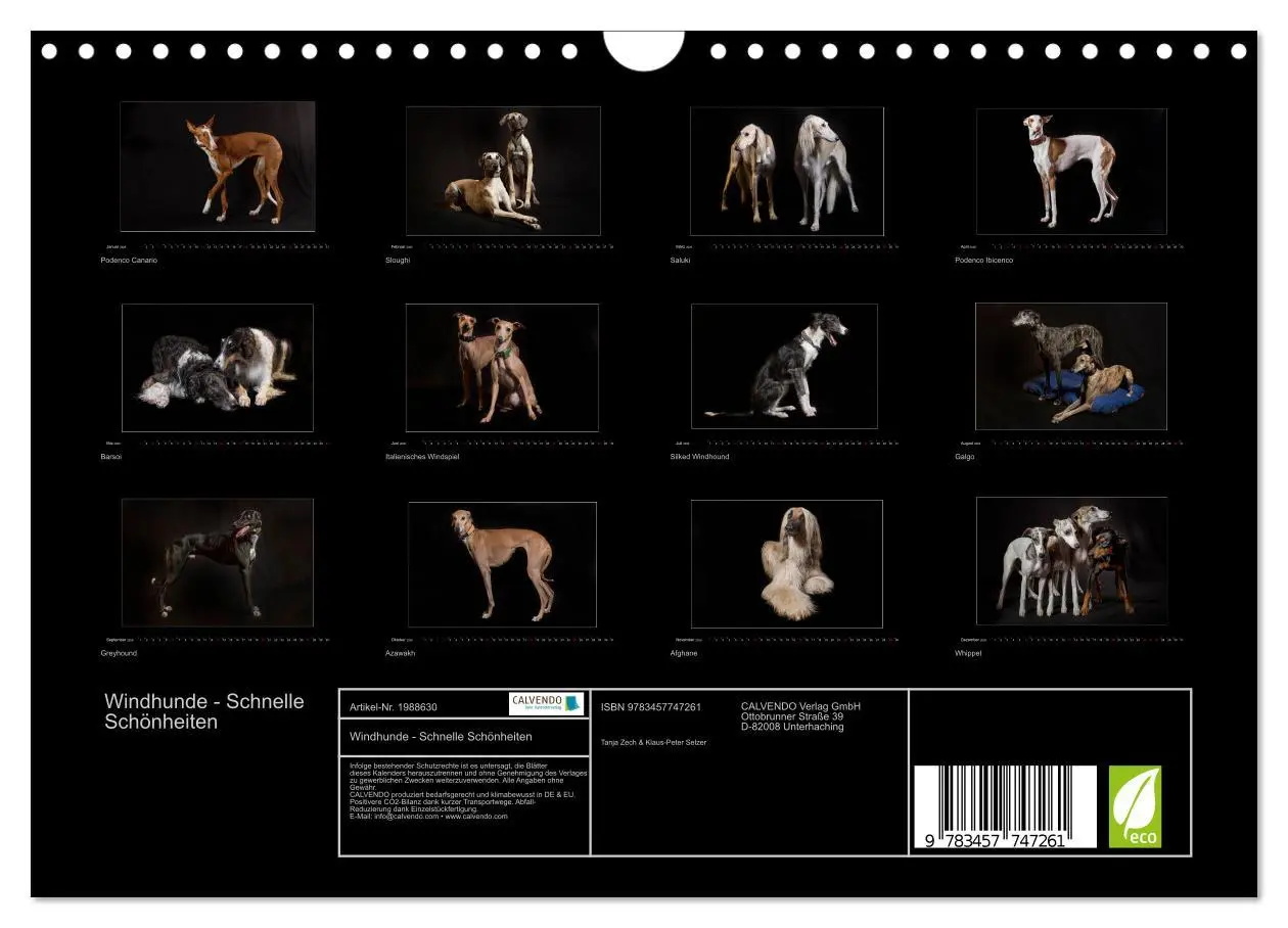 Bild: 9783457747261 | Windhunde - Schnelle Schönheiten (Wandkalender 2026 DIN A4 quer),...