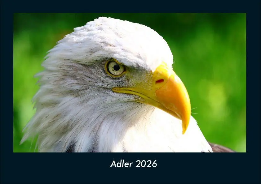 Cover: 9783695417261 | Adler 2026 Fotokalender DIN A4 | Tobias Becker | Kalender | Deutsch