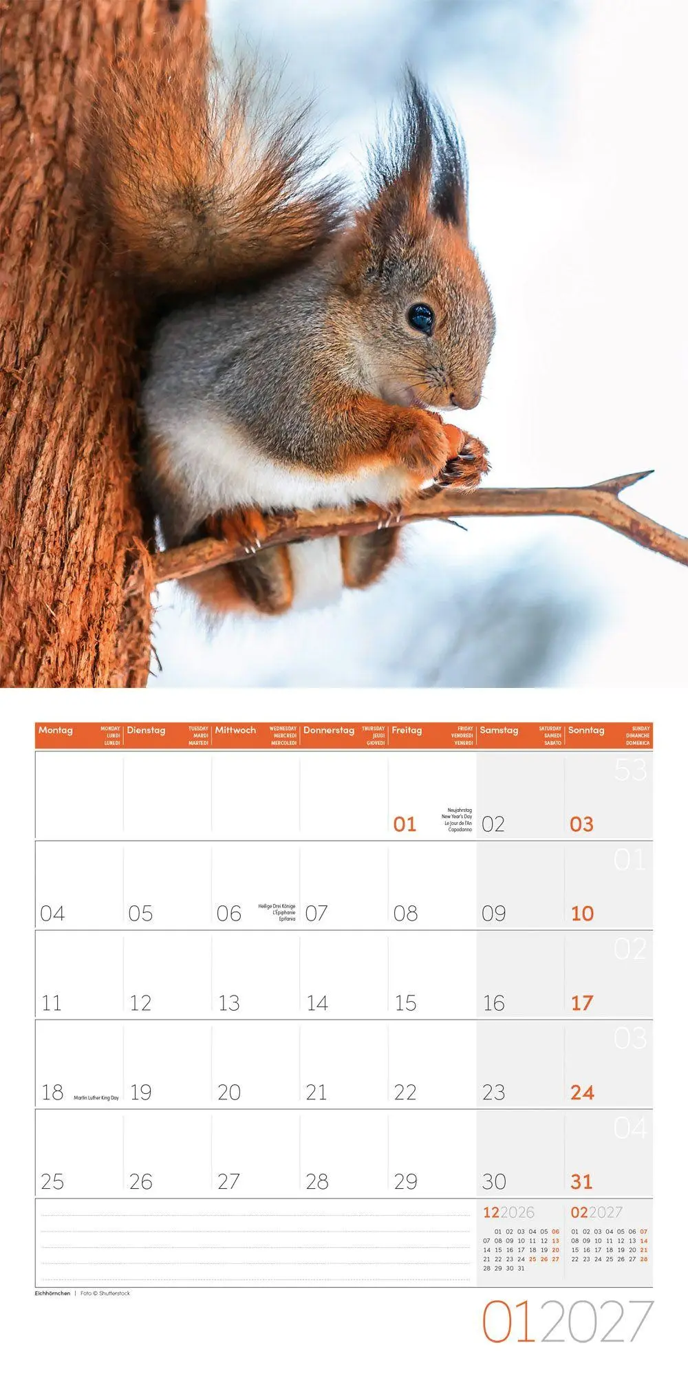 Bild: 9783838447261 | Gartenfreunde Kalender 2027 - 30x30 - Art12 | GmbH | Kalender | 28 S.