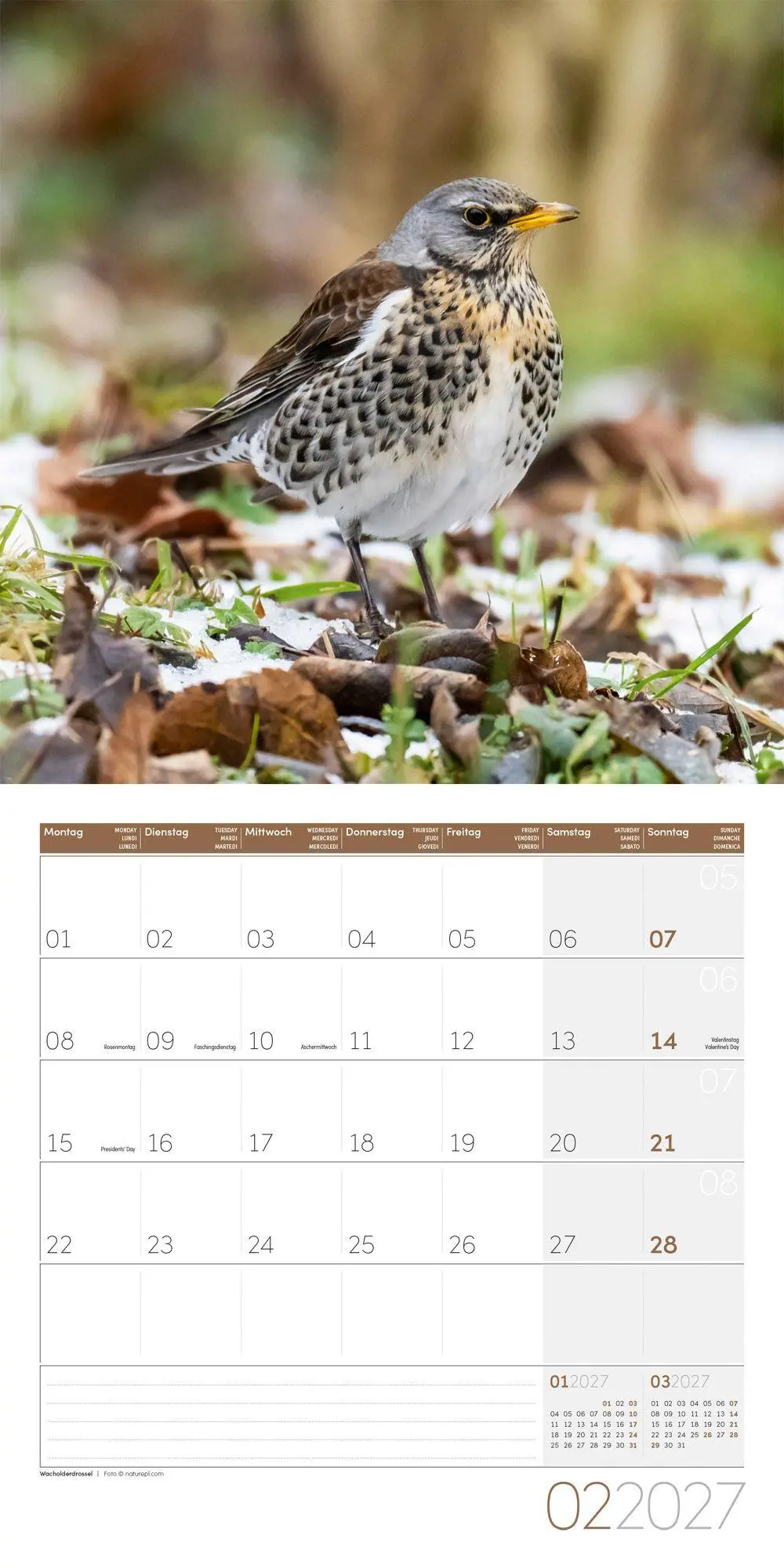 Bild: 9783838447261 | Gartenfreunde Kalender 2027 - 30x30 - Art12 | GmbH | Kalender | 28 S.