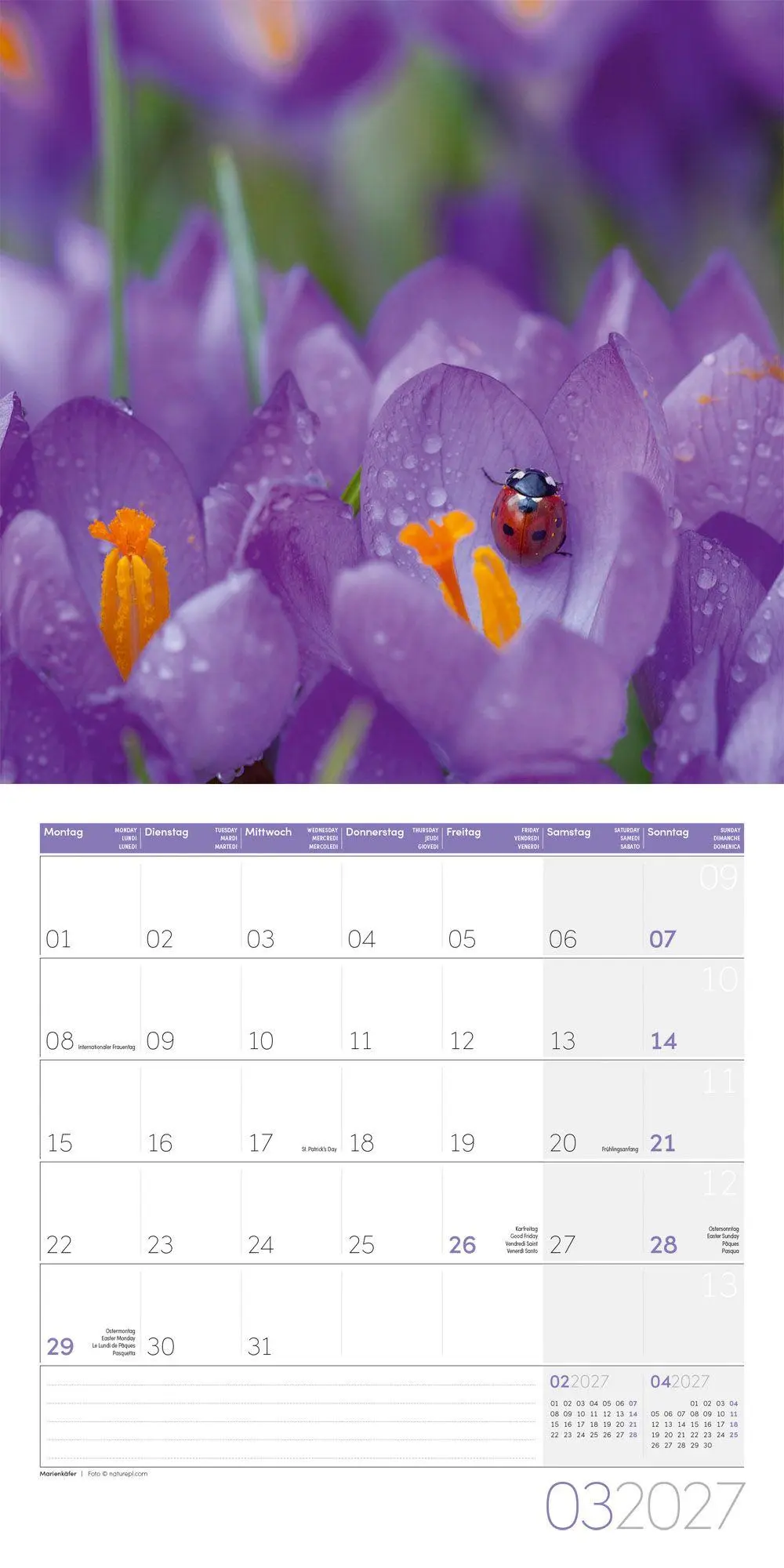 Bild: 9783838447261 | Gartenfreunde Kalender 2027 - 30x30 - Art12 | GmbH | Kalender | 28 S.