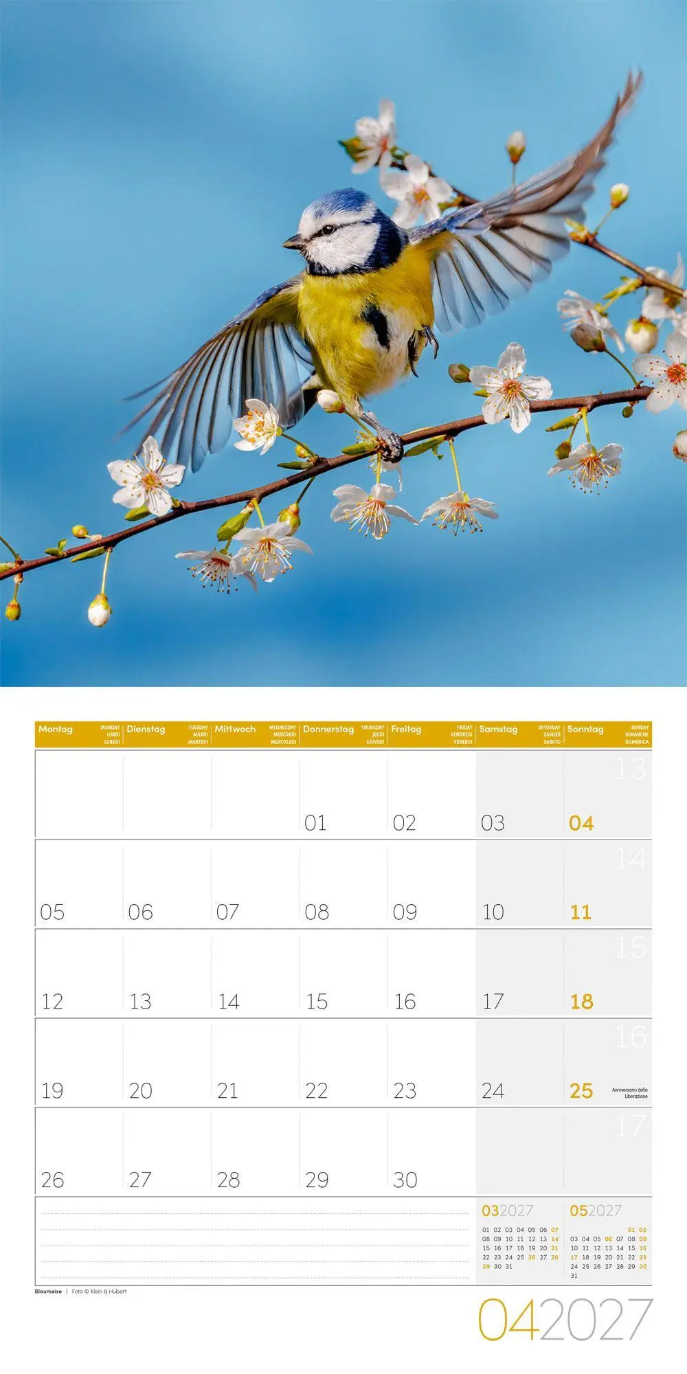 Bild: 9783838447261 | Gartenfreunde Kalender 2027 - 30x30 - Art12 | GmbH | Kalender | 28 S.