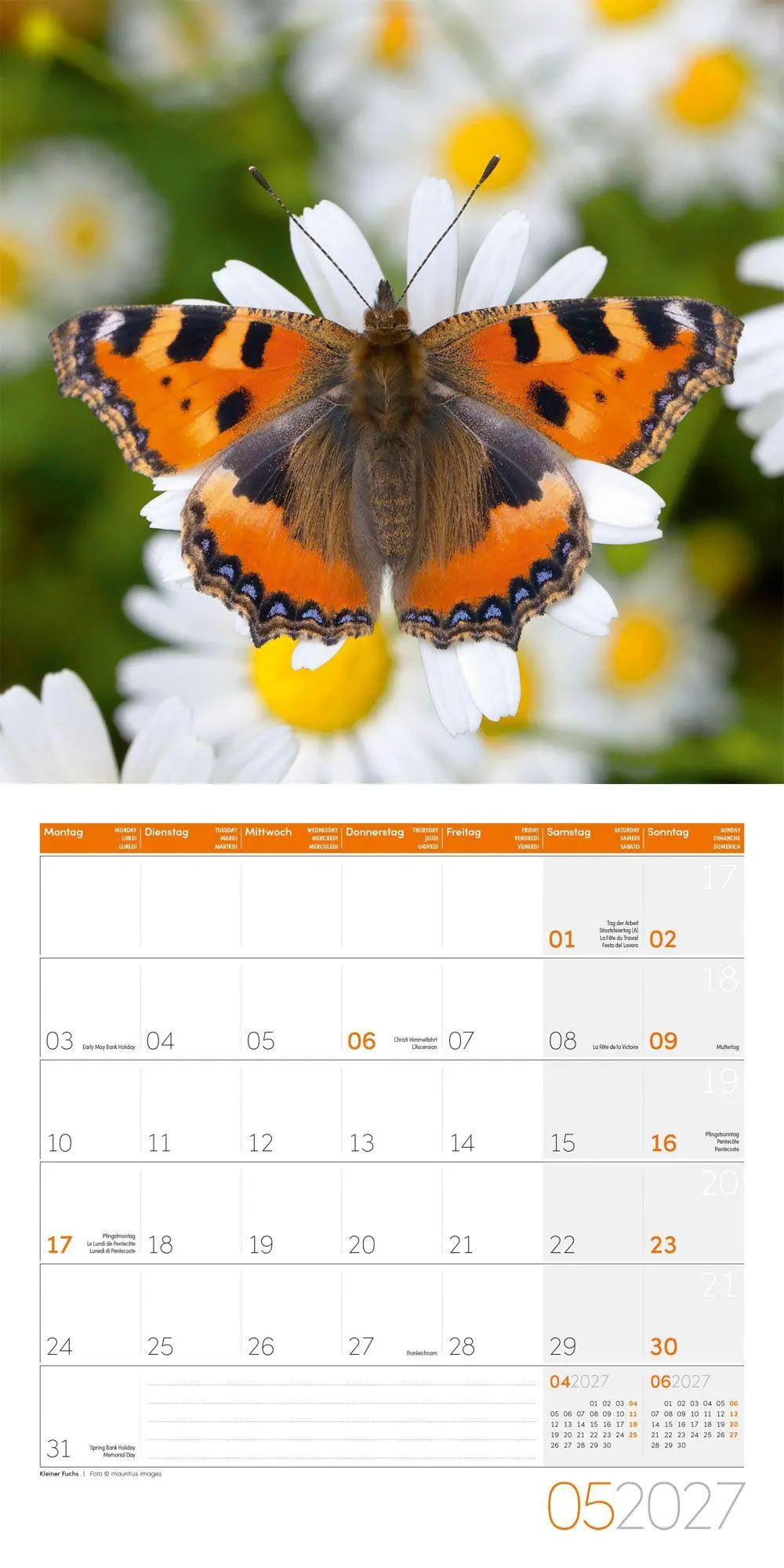 Bild: 9783838447261 | Gartenfreunde Kalender 2027 - 30x30 - Art12 | GmbH | Kalender | 28 S.
