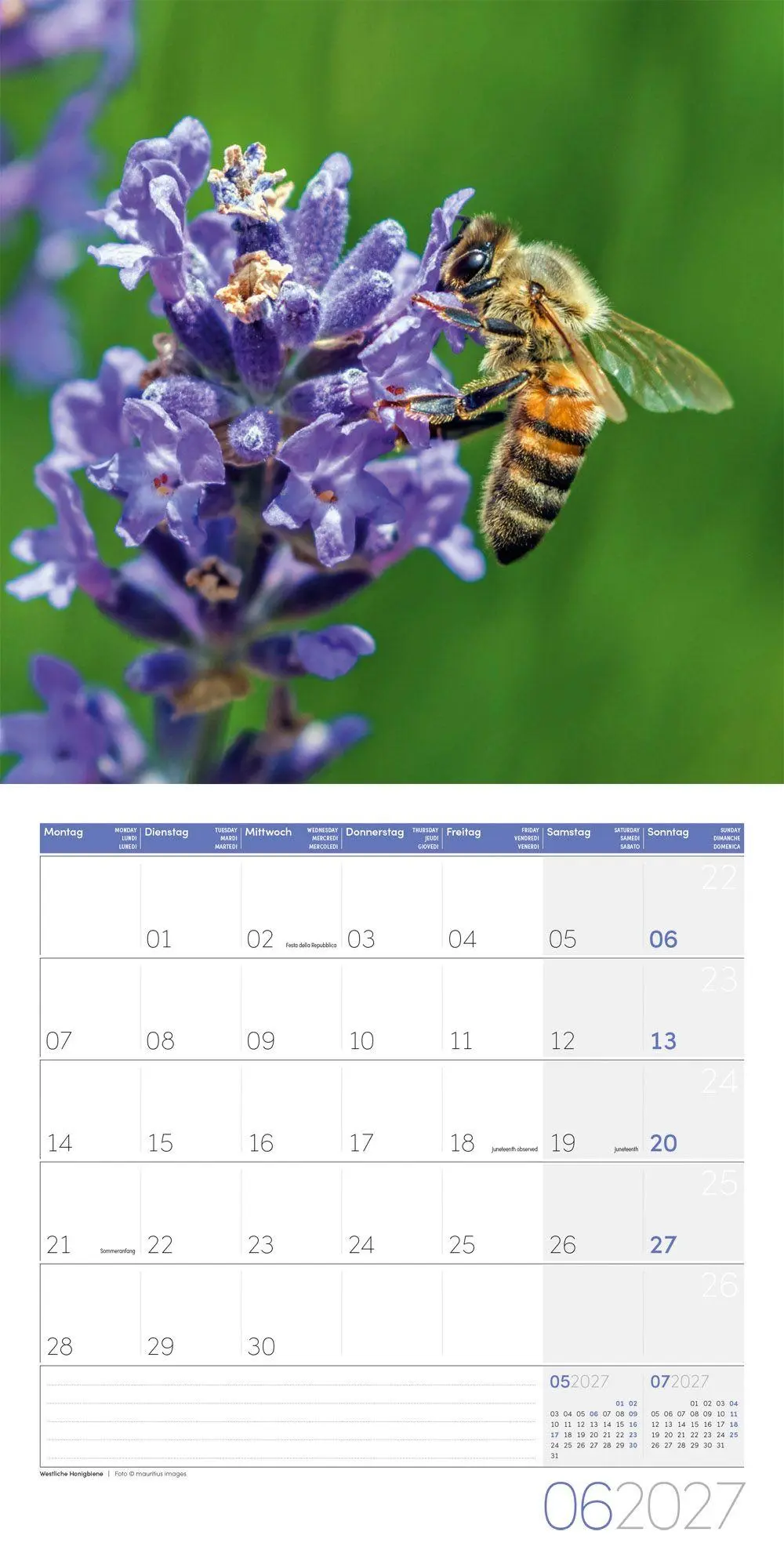 Bild: 9783838447261 | Gartenfreunde Kalender 2027 - 30x30 - Art12 | GmbH | Kalender | 28 S.