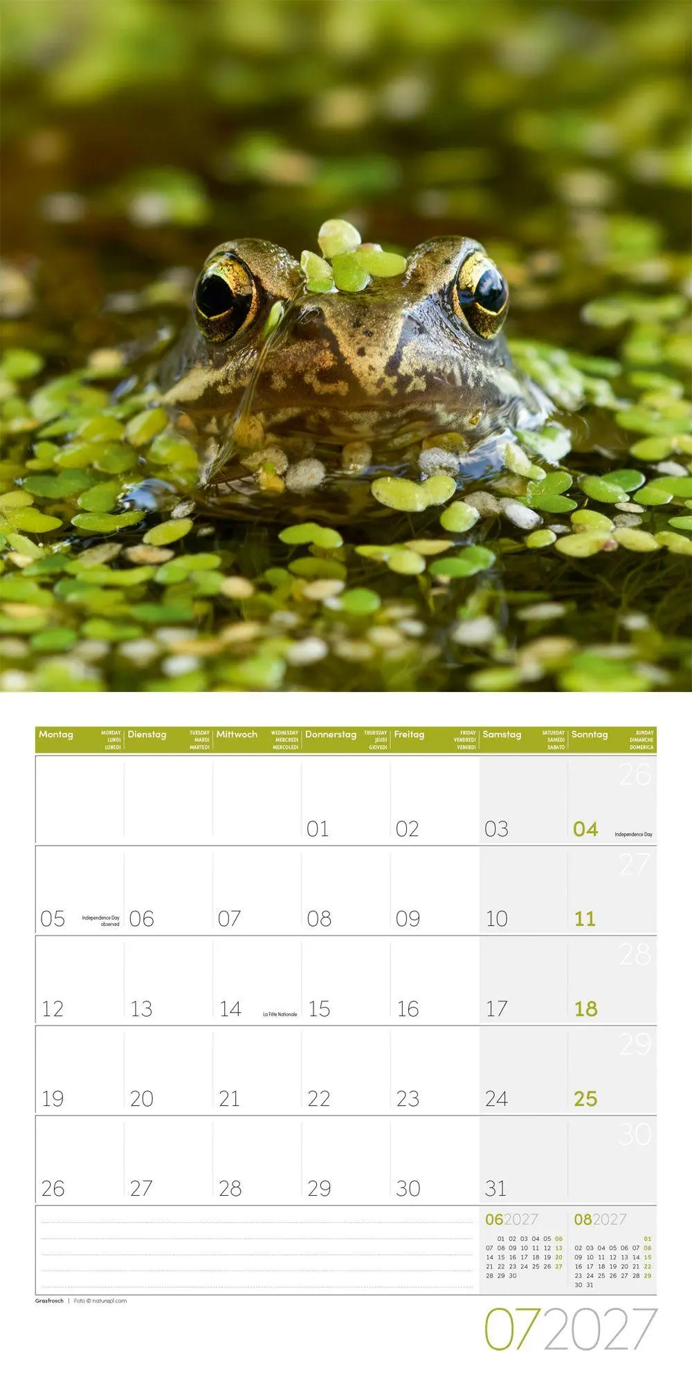 Bild: 9783838447261 | Gartenfreunde Kalender 2027 - 30x30 - Art12 | GmbH | Kalender | 28 S.
