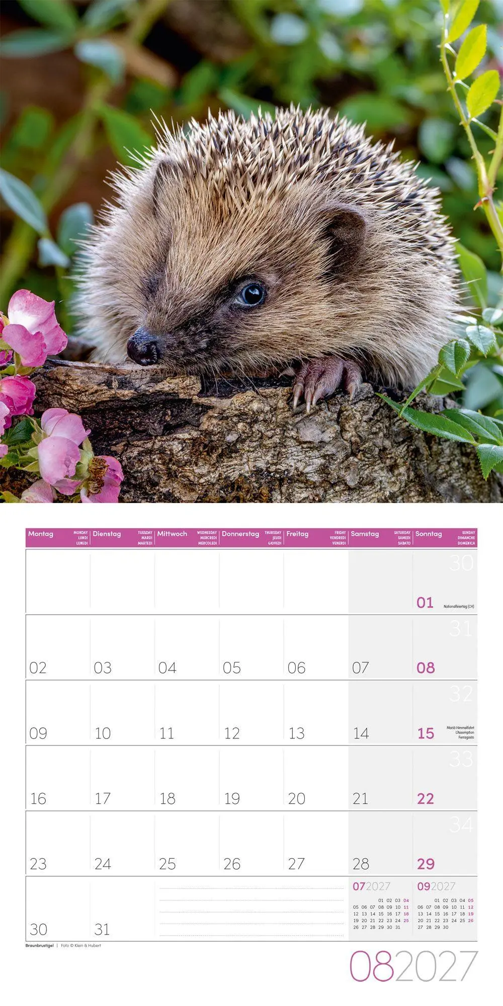 Bild: 9783838447261 | Gartenfreunde Kalender 2027 - 30x30 - Art12 | GmbH | Kalender | 28 S.