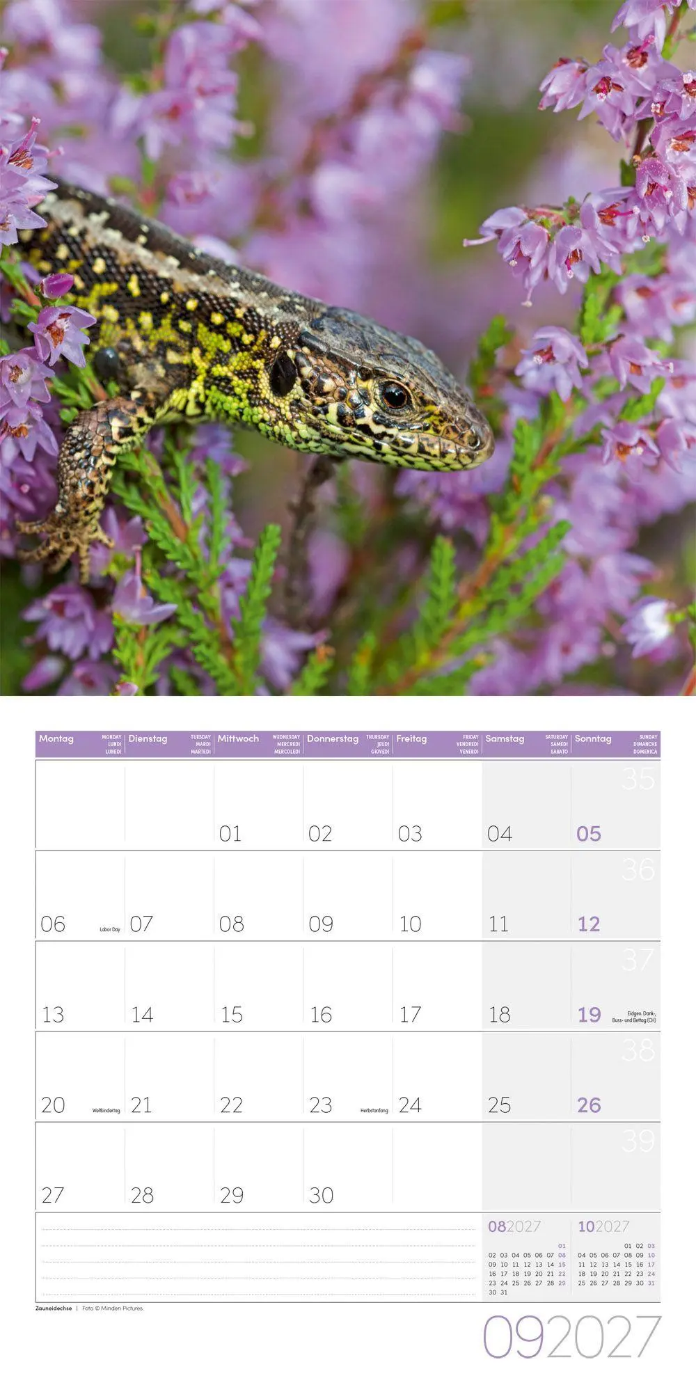 Bild: 9783838447261 | Gartenfreunde Kalender 2027 - 30x30 - Art12 | GmbH | Kalender | 28 S.