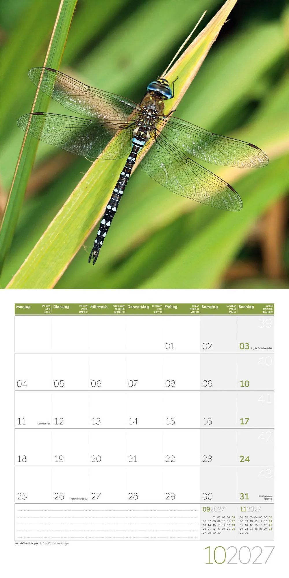 Bild: 9783838447261 | Gartenfreunde Kalender 2027 - 30x30 - Art12 | GmbH | Kalender | 28 S.