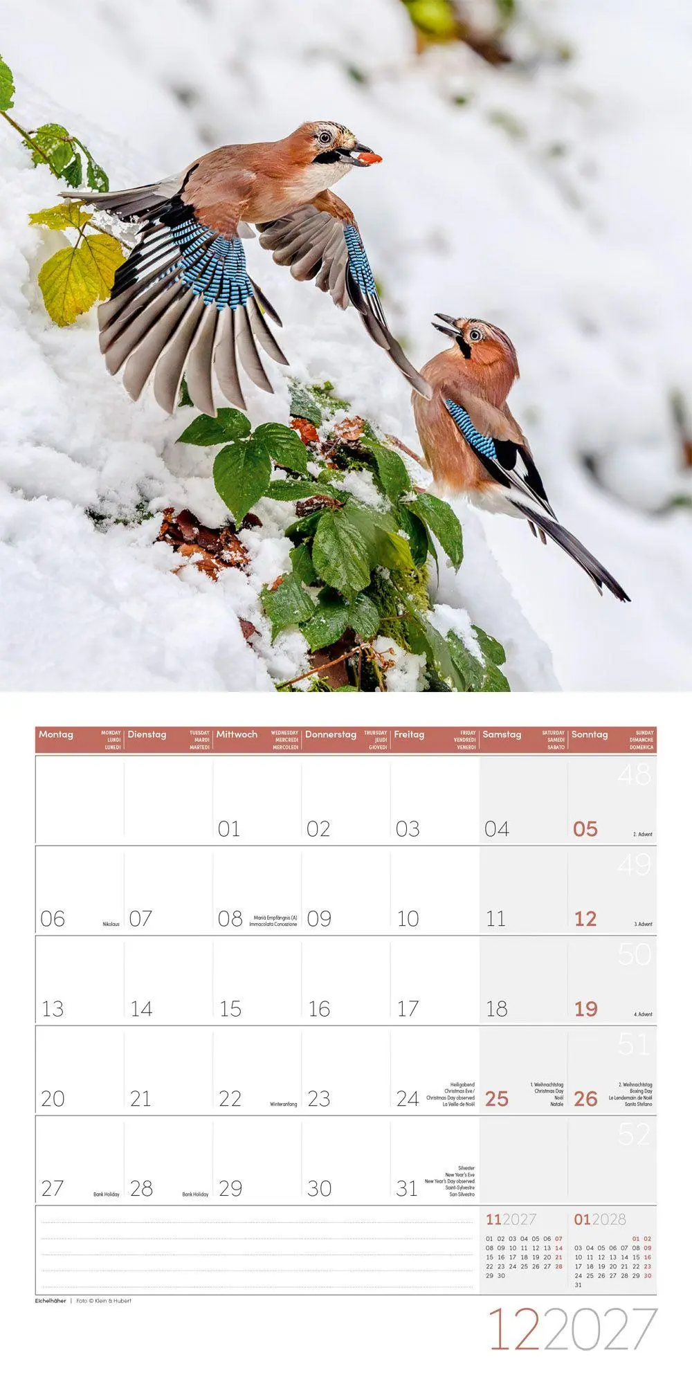 Bild: 9783838447261 | Gartenfreunde Kalender 2027 - 30x30 - Art12 | GmbH | Kalender | 28 S.