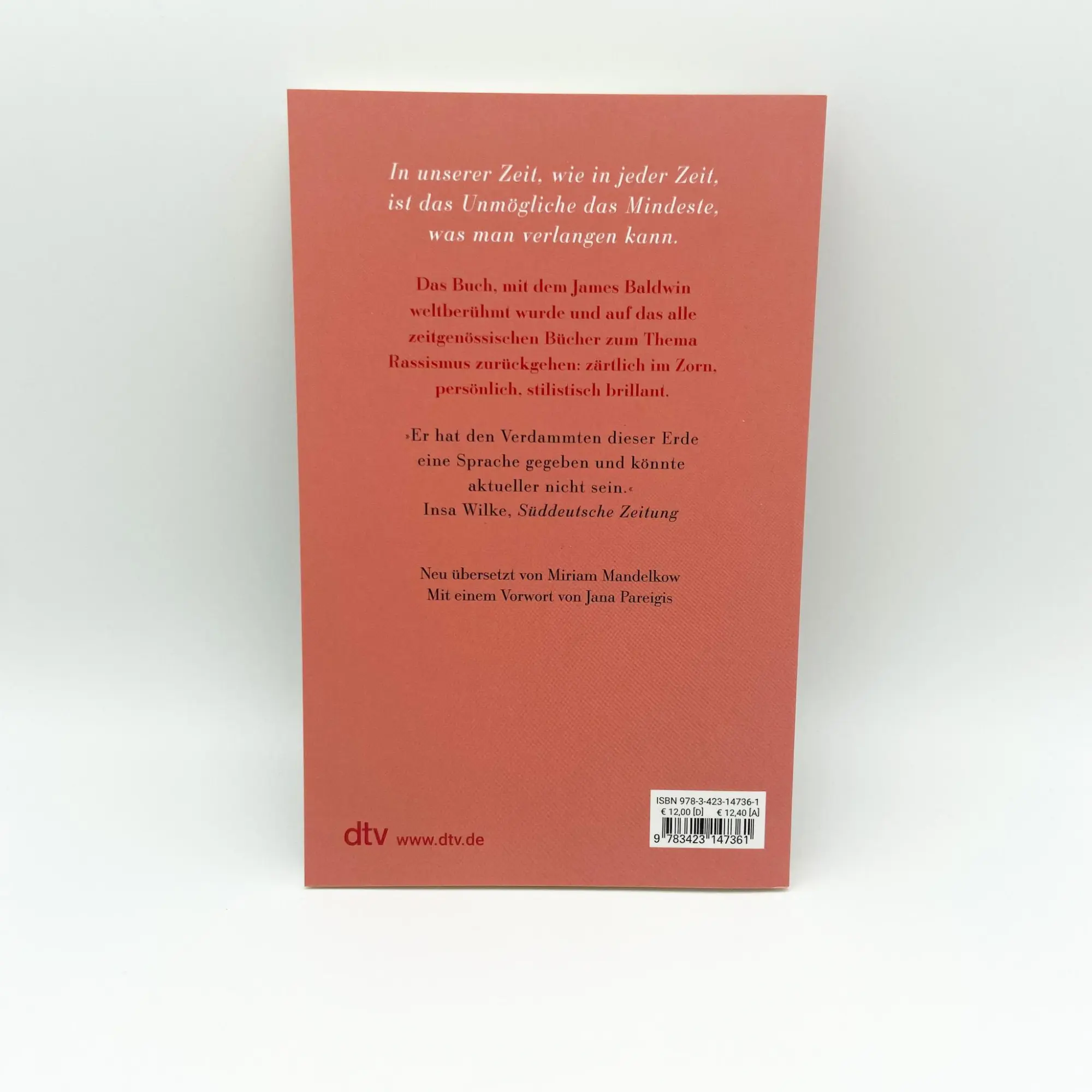 Bild: 9783423147361 | Nach der Flut das Feuer | The Fire Next Time | James Baldwin | Buch