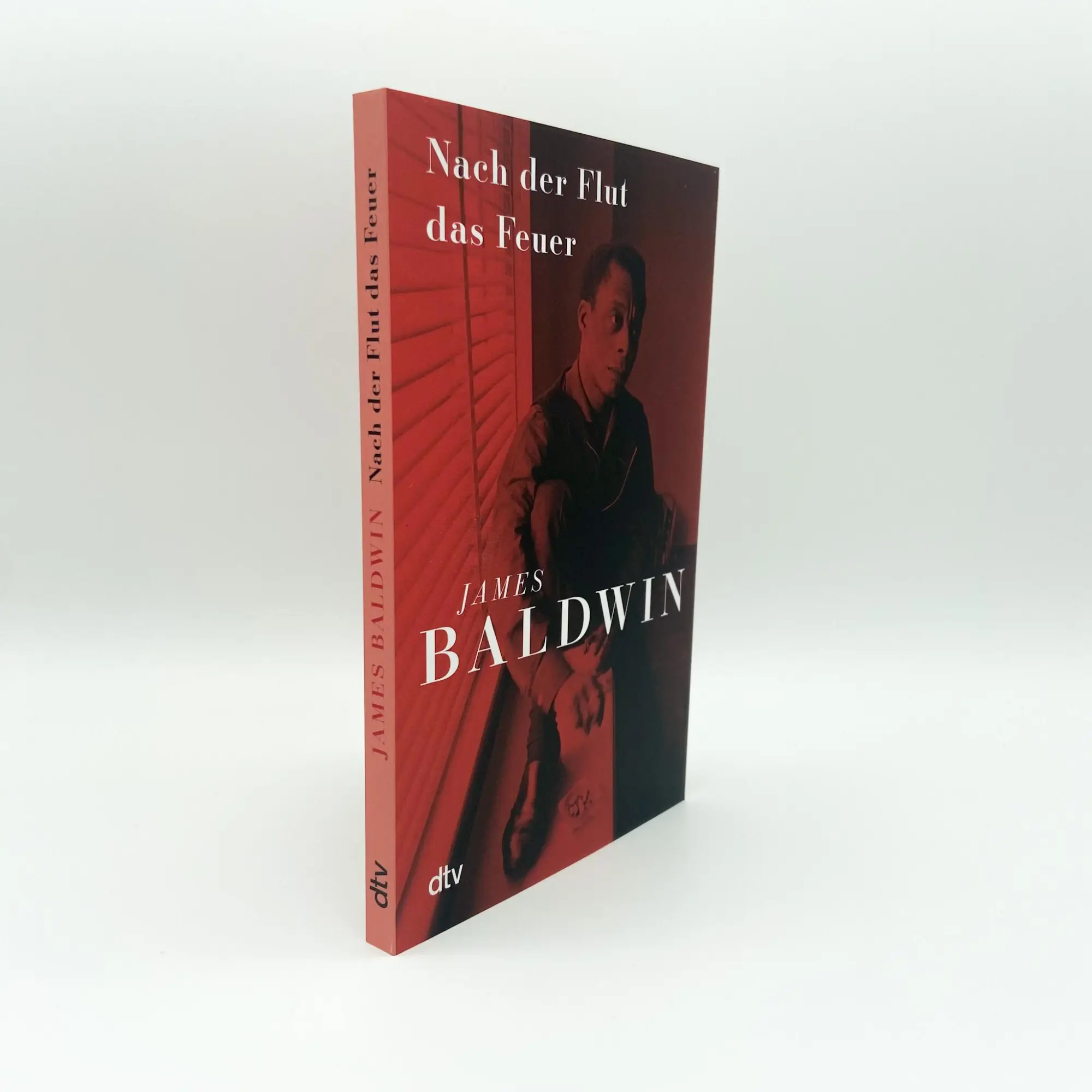 Bild: 9783423147361 | Nach der Flut das Feuer | The Fire Next Time | James Baldwin | Buch