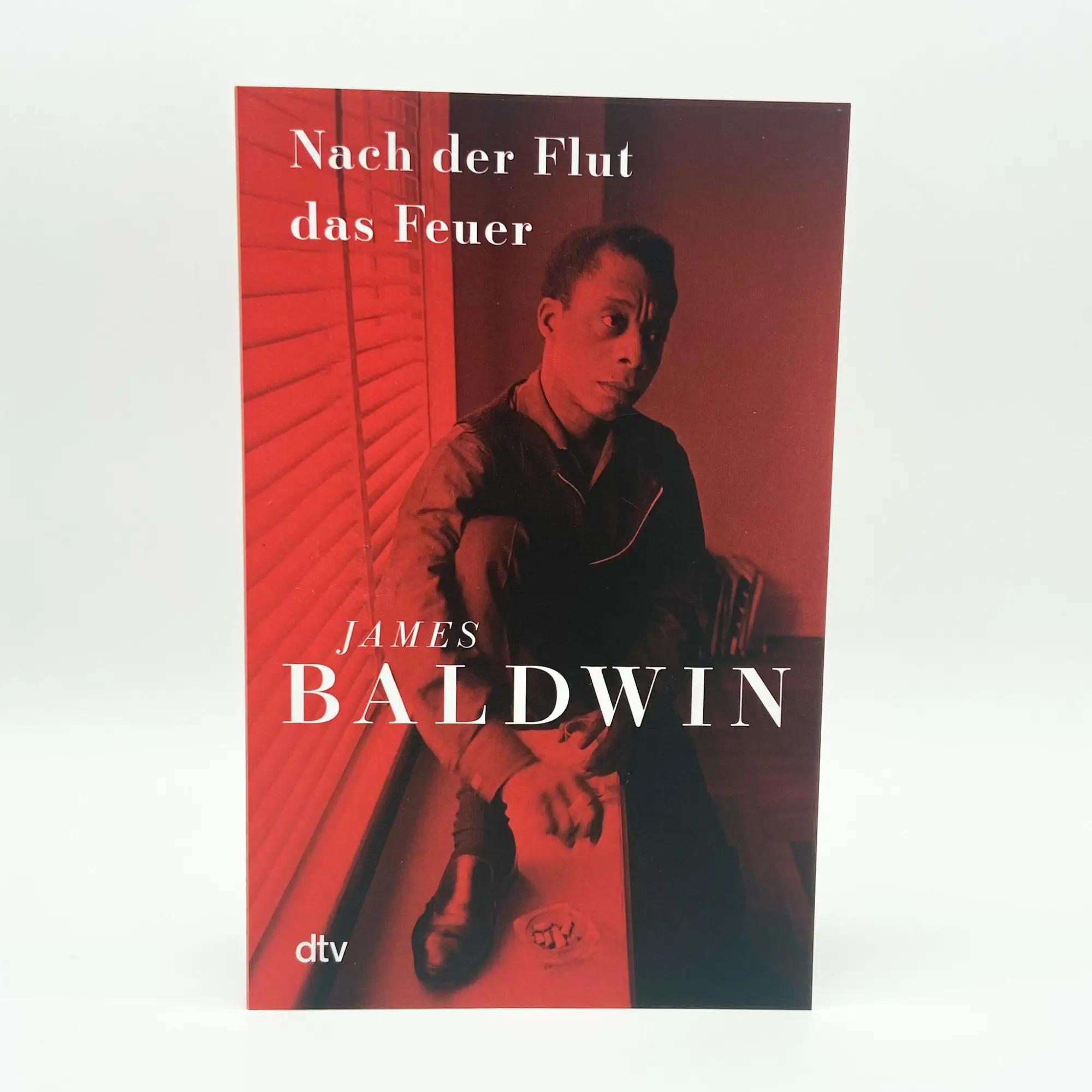 Bild: 9783423147361 | Nach der Flut das Feuer | The Fire Next Time | James Baldwin | Buch