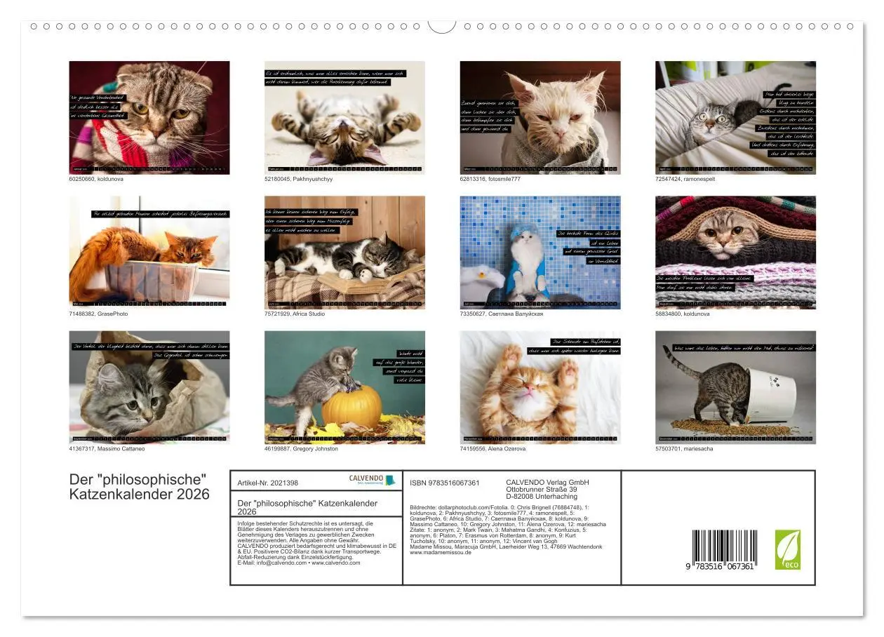 Bild: 9783516067361 | Der "philosophische" Katzenkalender 2026 (hochwertiger Premium...