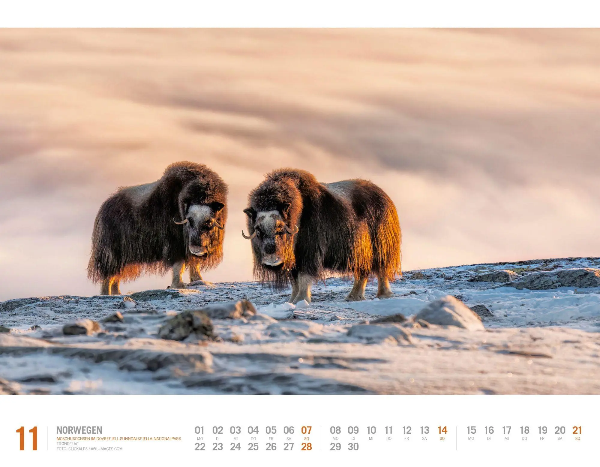 Bild: 9783838427461 | Norwegen Kalender 2027 Unterwegs zwischen Fjordland und Nordkap | GmbH