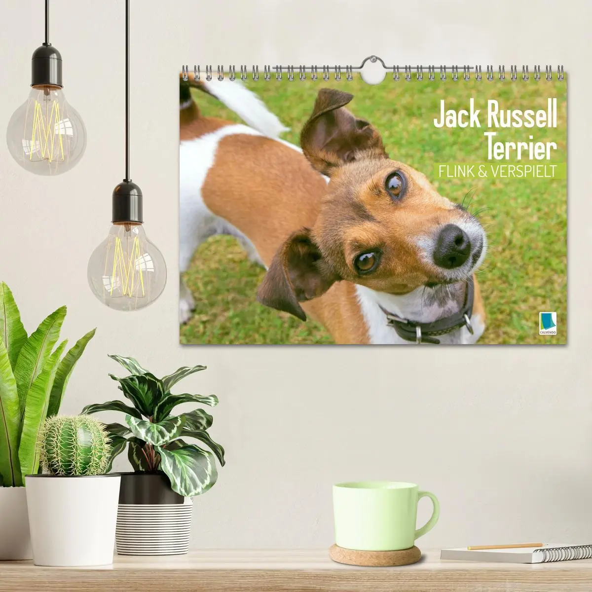 Bild: 9783516597561 | Jack Russell Terrier: flink und verspielt (Wandkalender 2026 DIN A4...
