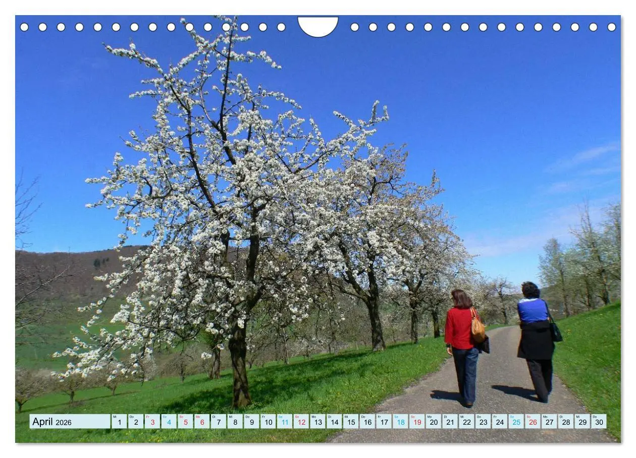 Bild: 9783457947661 | Stimmungsvolle Schwäbische Alb (Wandkalender 2026 DIN A4 quer),...